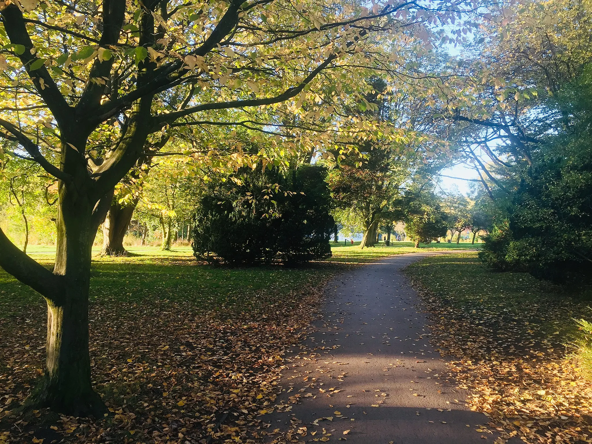 Photo showing: Fog Lane Park in East Didsbury, Manchester