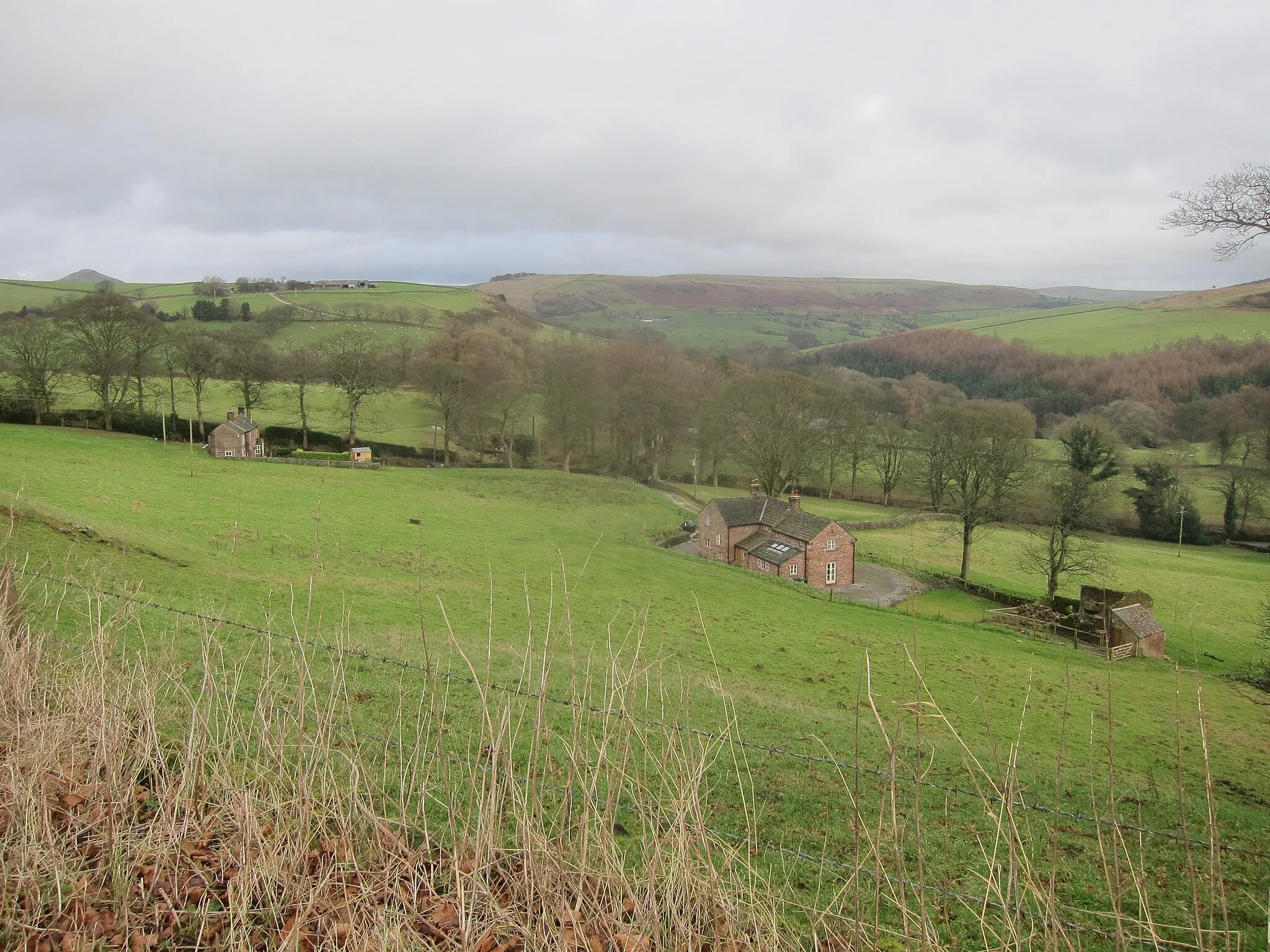 Photo showing: A fertile valley above the hamlet of Wincle