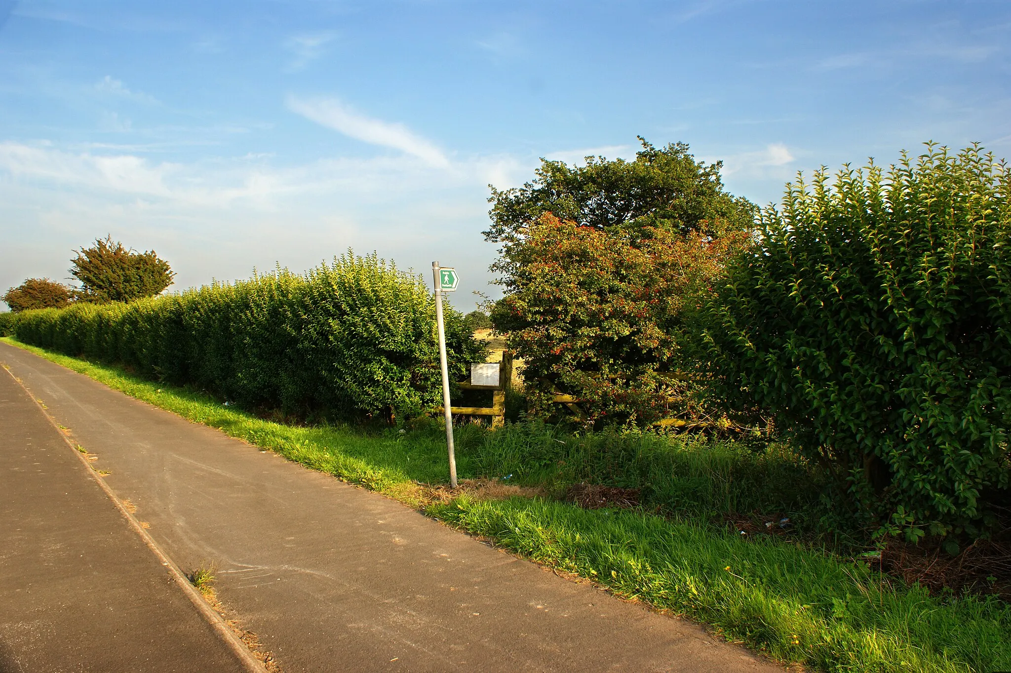 Photo showing: A footpath to Diggle Green