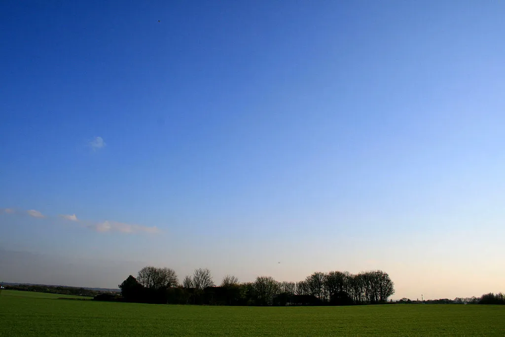 Photo showing: Trees surrounding Arbury