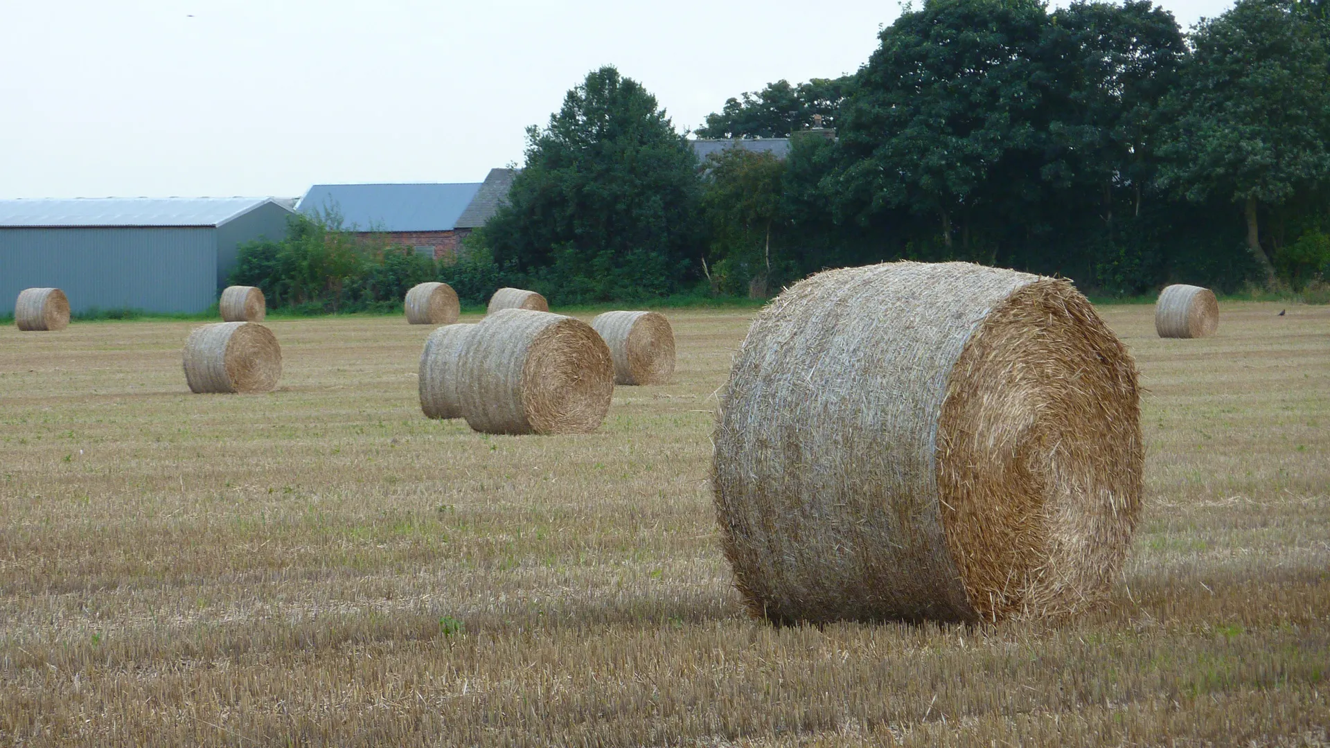 Photo showing: Arbury, Winwick