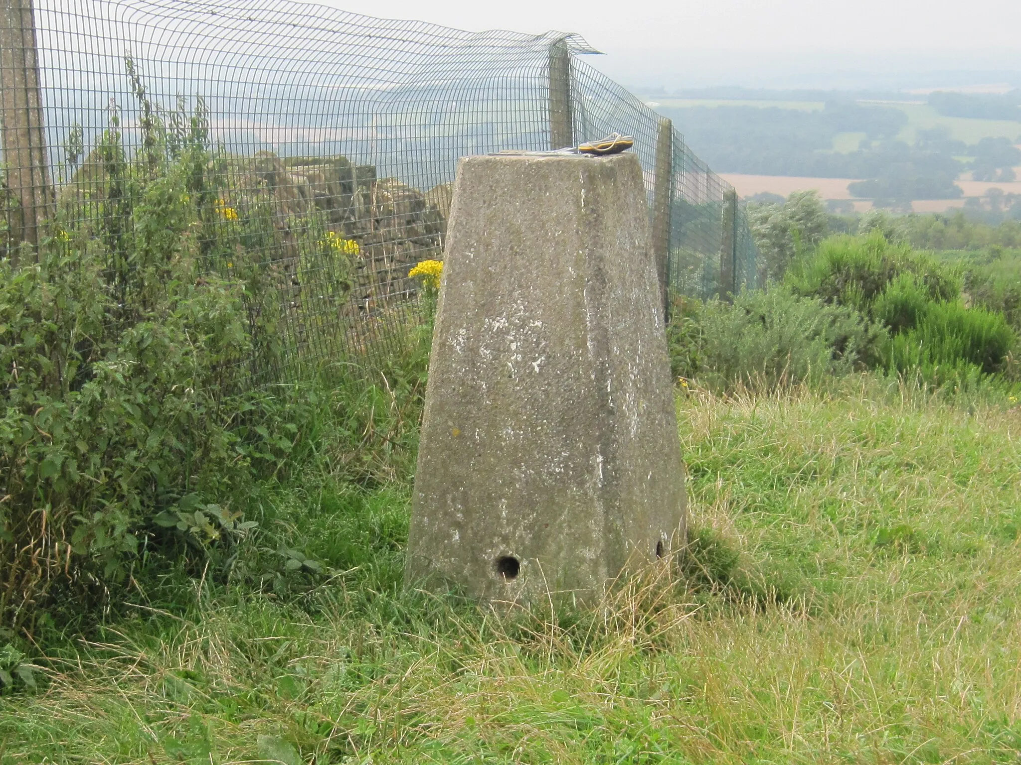 Photo showing: Ordnance Survey Trig Pillar S3514