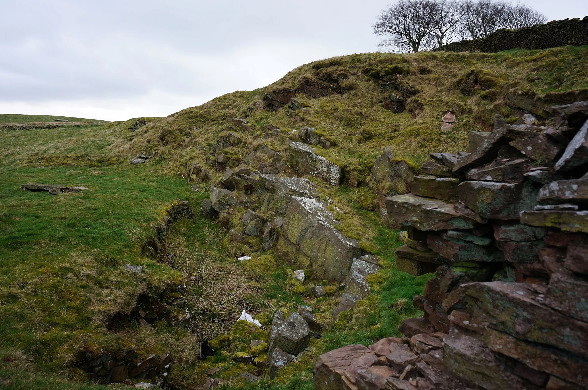 Photo showing: Small disused quarry