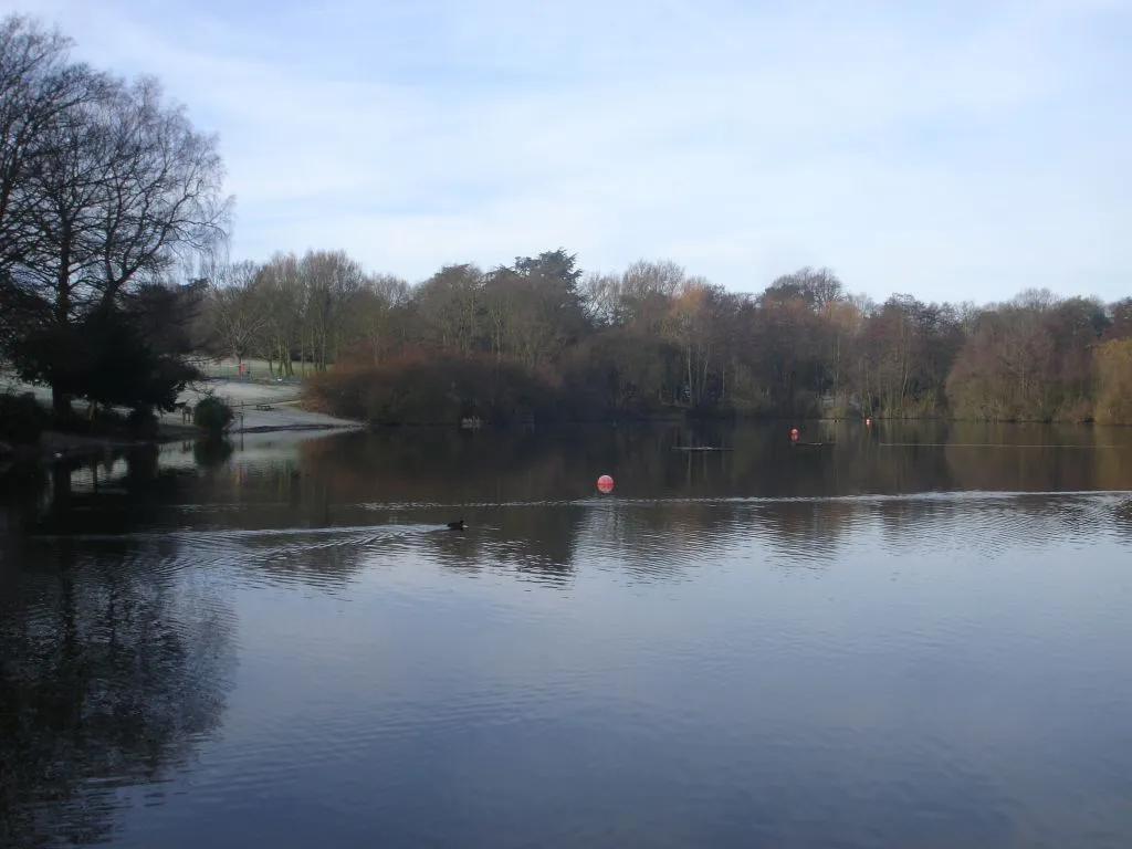 Photo showing: Author: Spicke01. en:Acton Park lake taken early February 2007.