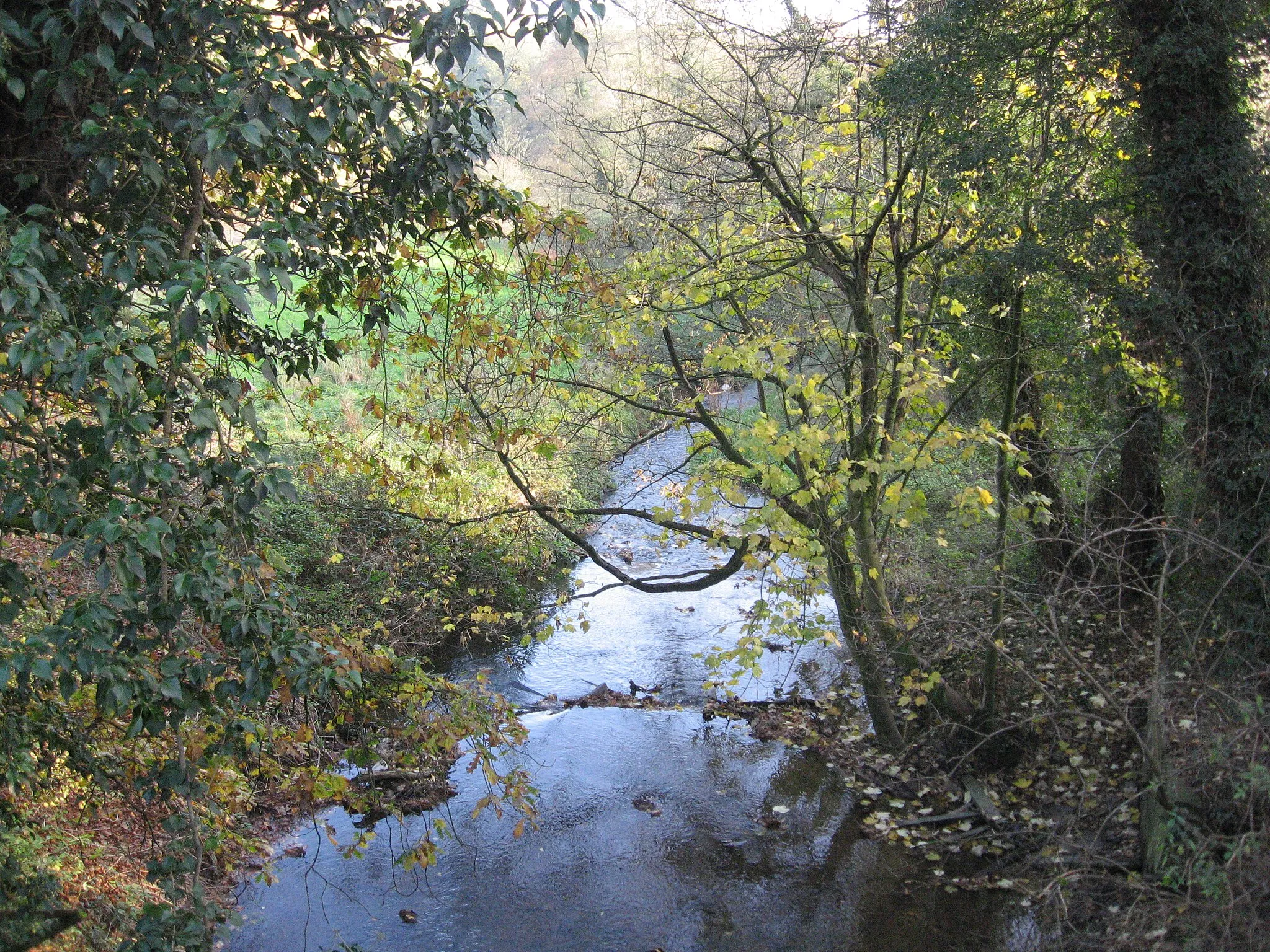 Photo showing: Ash Brook downstream from Darnhall Bridge