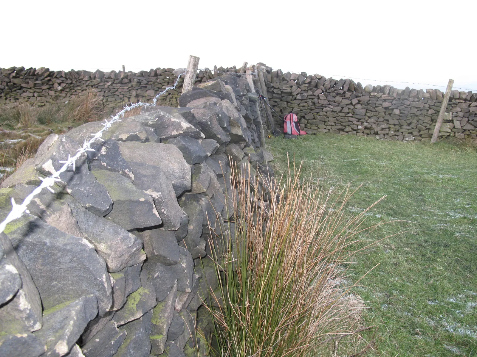 Photo showing: Whaley Moor