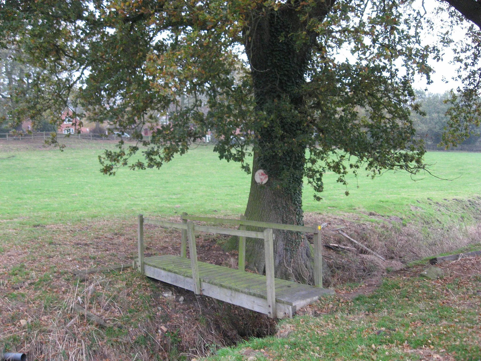 Photo showing: Foot bridge and oak tree at Marton Sands