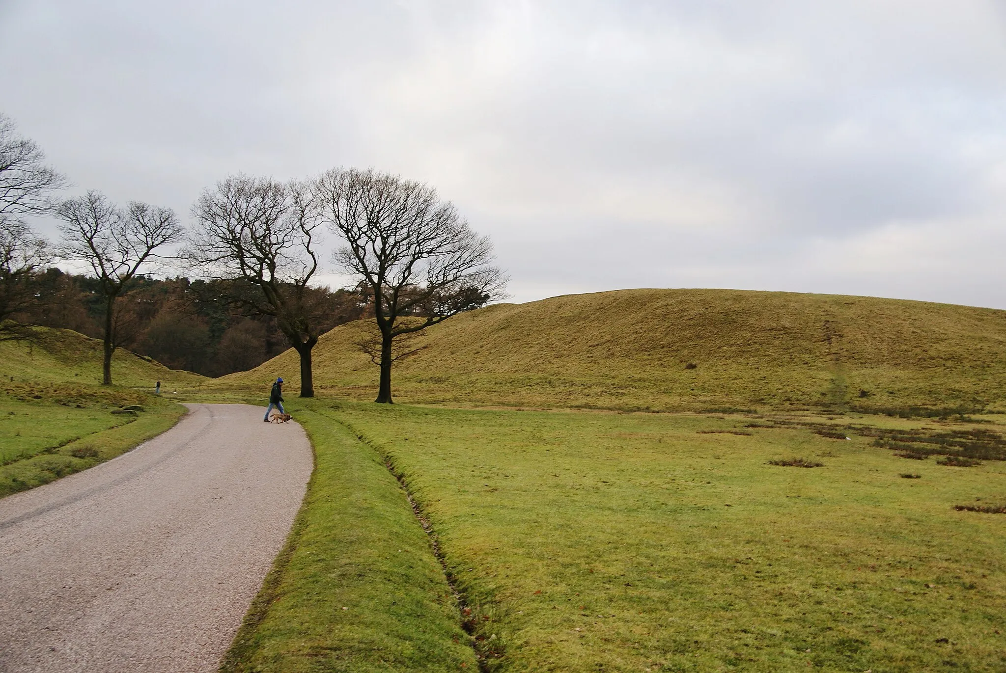 Photo showing: Track going past Knott