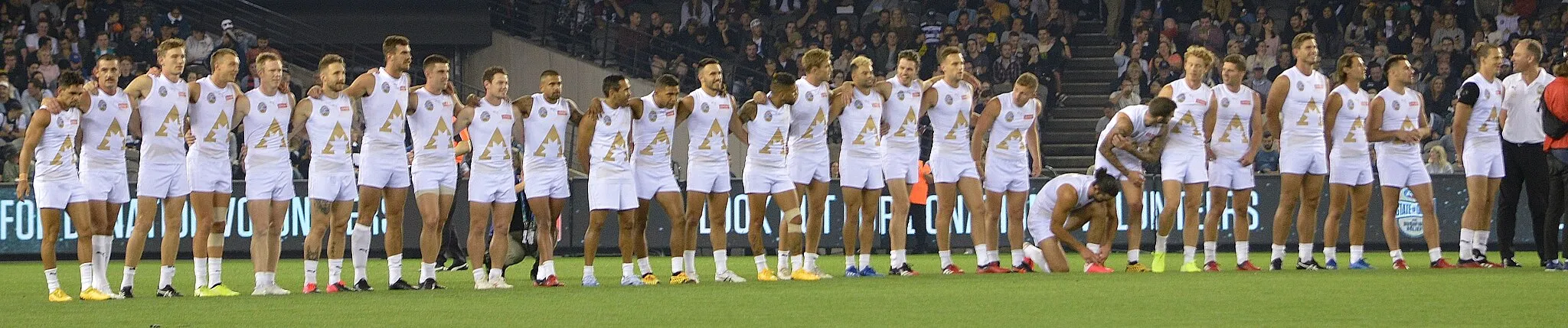 Photo showing: The Allies  at the AFL State of Origin for Bushfire Relief Match at Marvel Stadium in February 2020.
