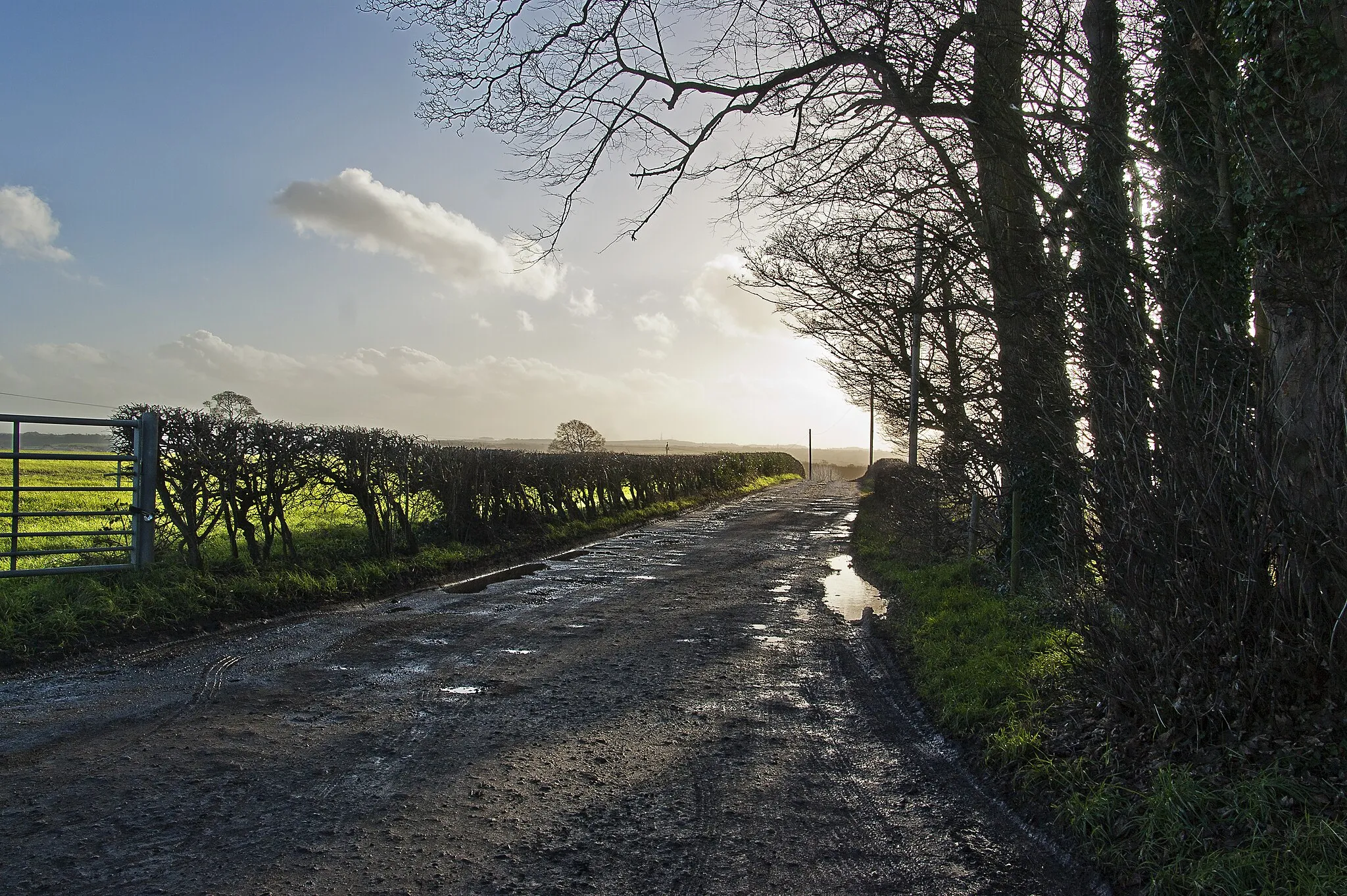 Photo showing: The track to Parkside Farm