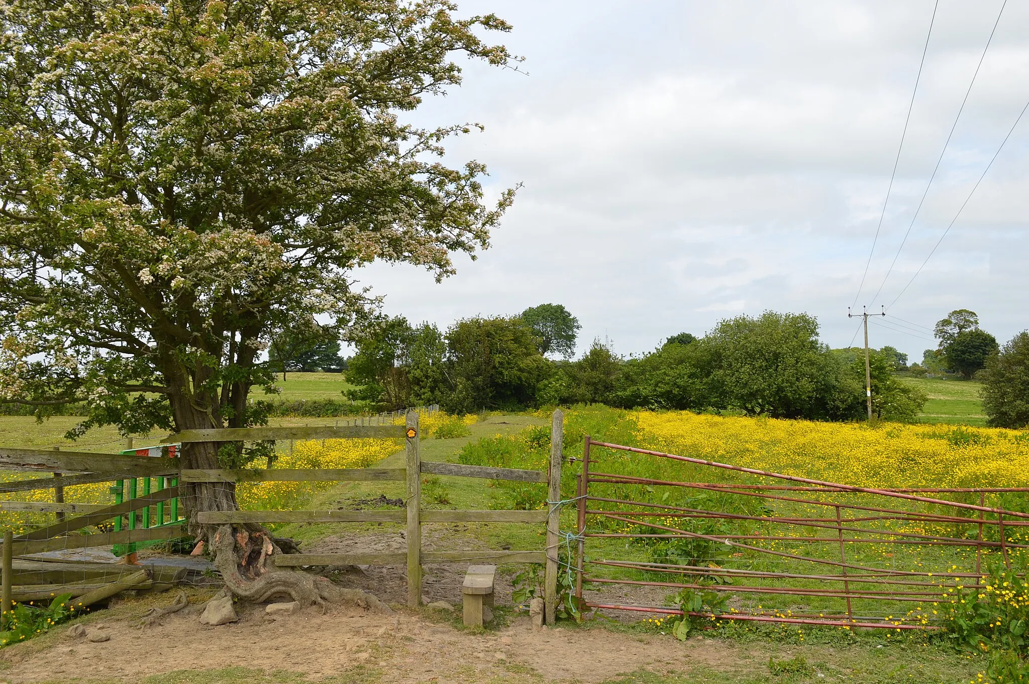 Photo showing: Alsagers Bank: footpath north of High Lane