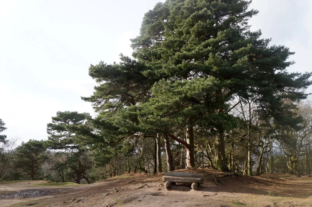 Photo showing: Bench at Stormy Point, Alderley Edge