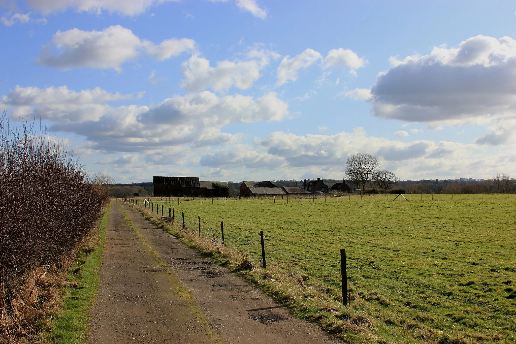 Photo showing: Across the fields to Newton Hall Farm