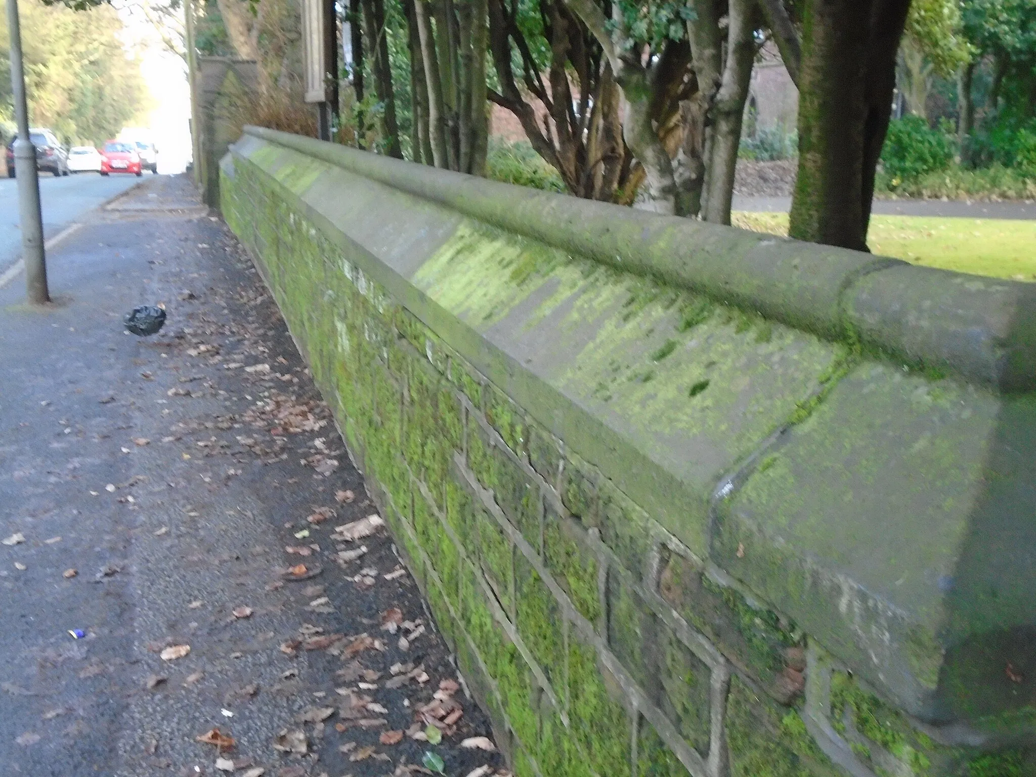 Photo showing: Section of wall along Rose lane from the drinking fountain to the vicarage gate.