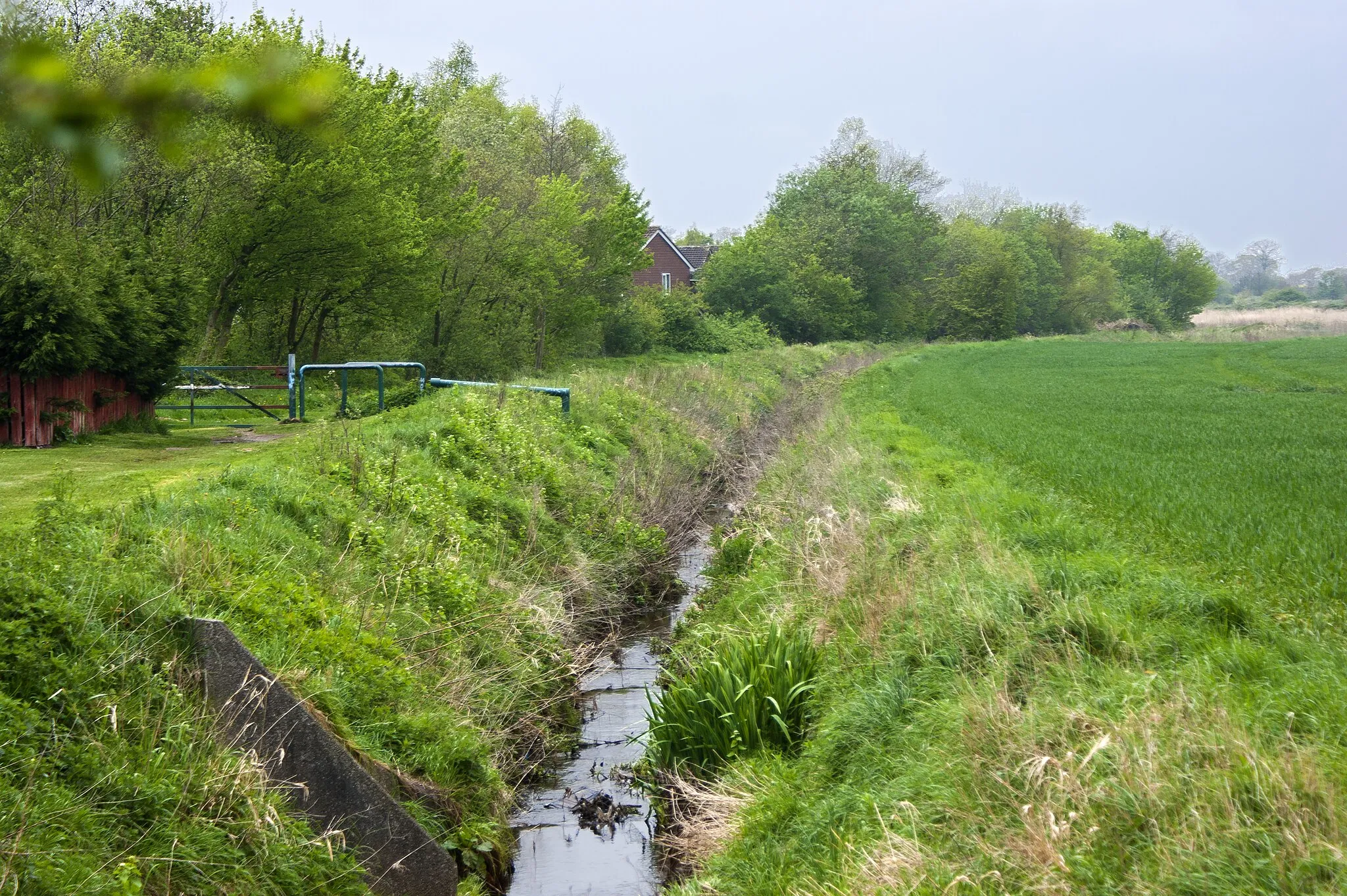 Photo showing: A drainage ditch at Simonswood