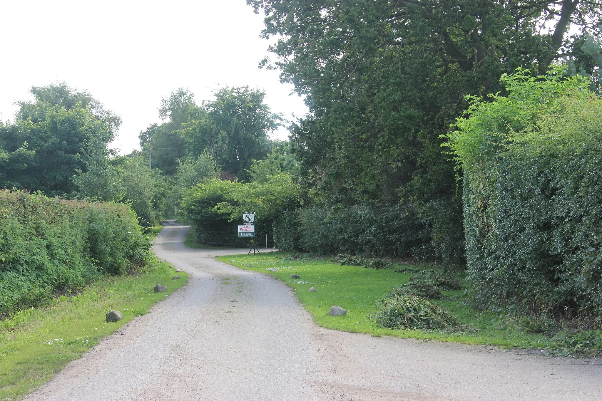 Photo showing: Carter Lane at Fir Tree Farm