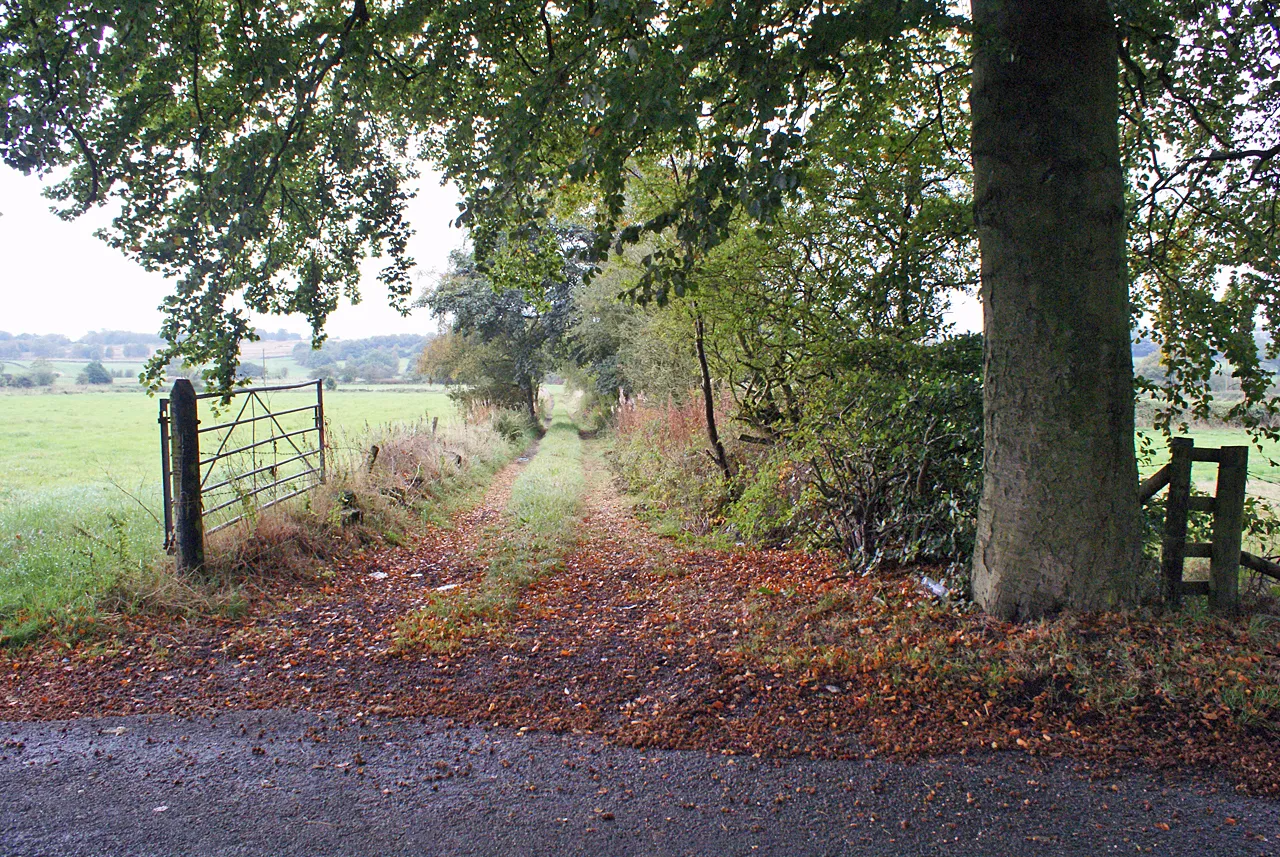 Photo showing: Field access track