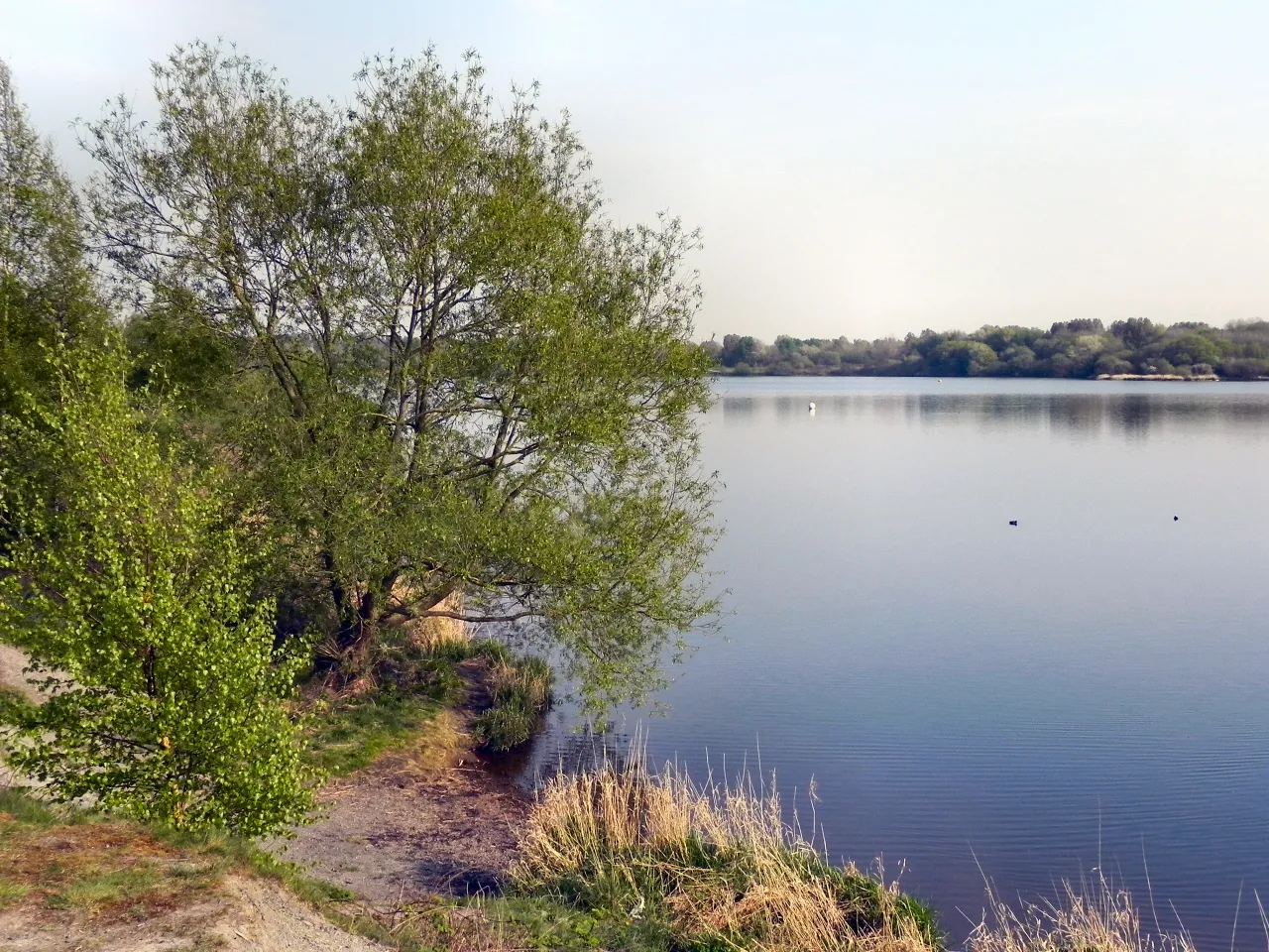 Photo showing: Pennington Flash