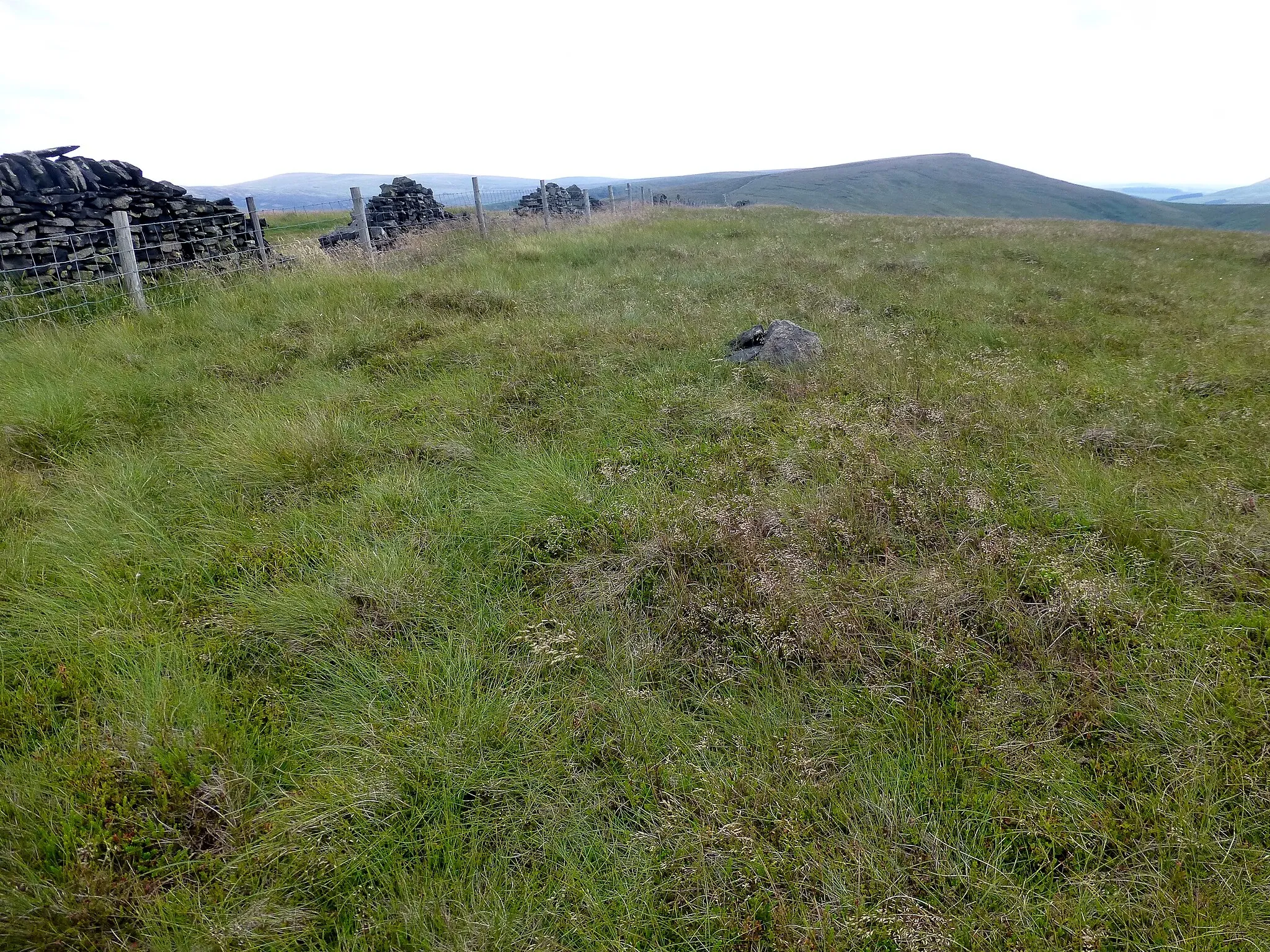 Photo showing: Cats Tor