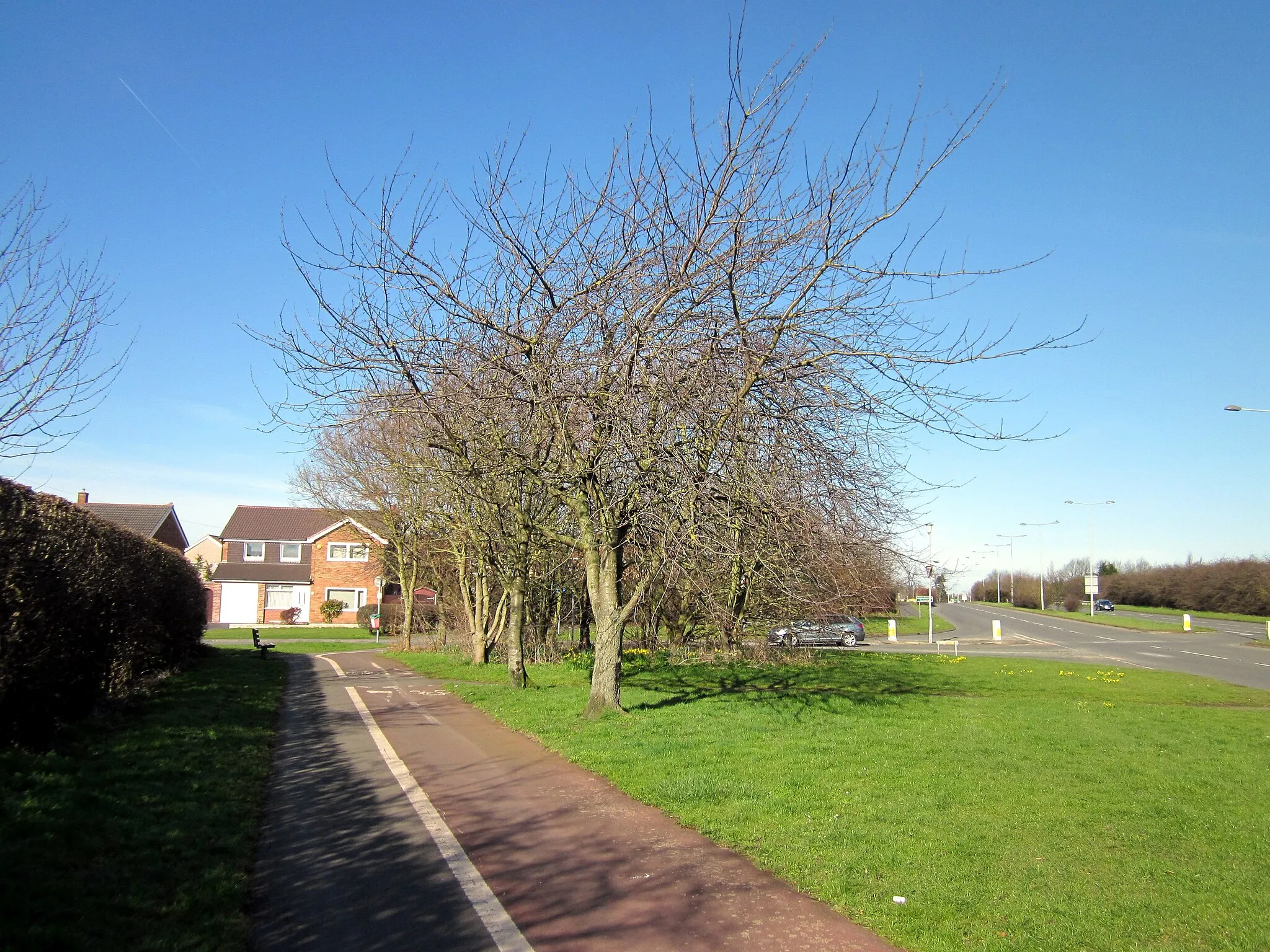 Photo showing: Approaching Green Lane, Vicars Cross