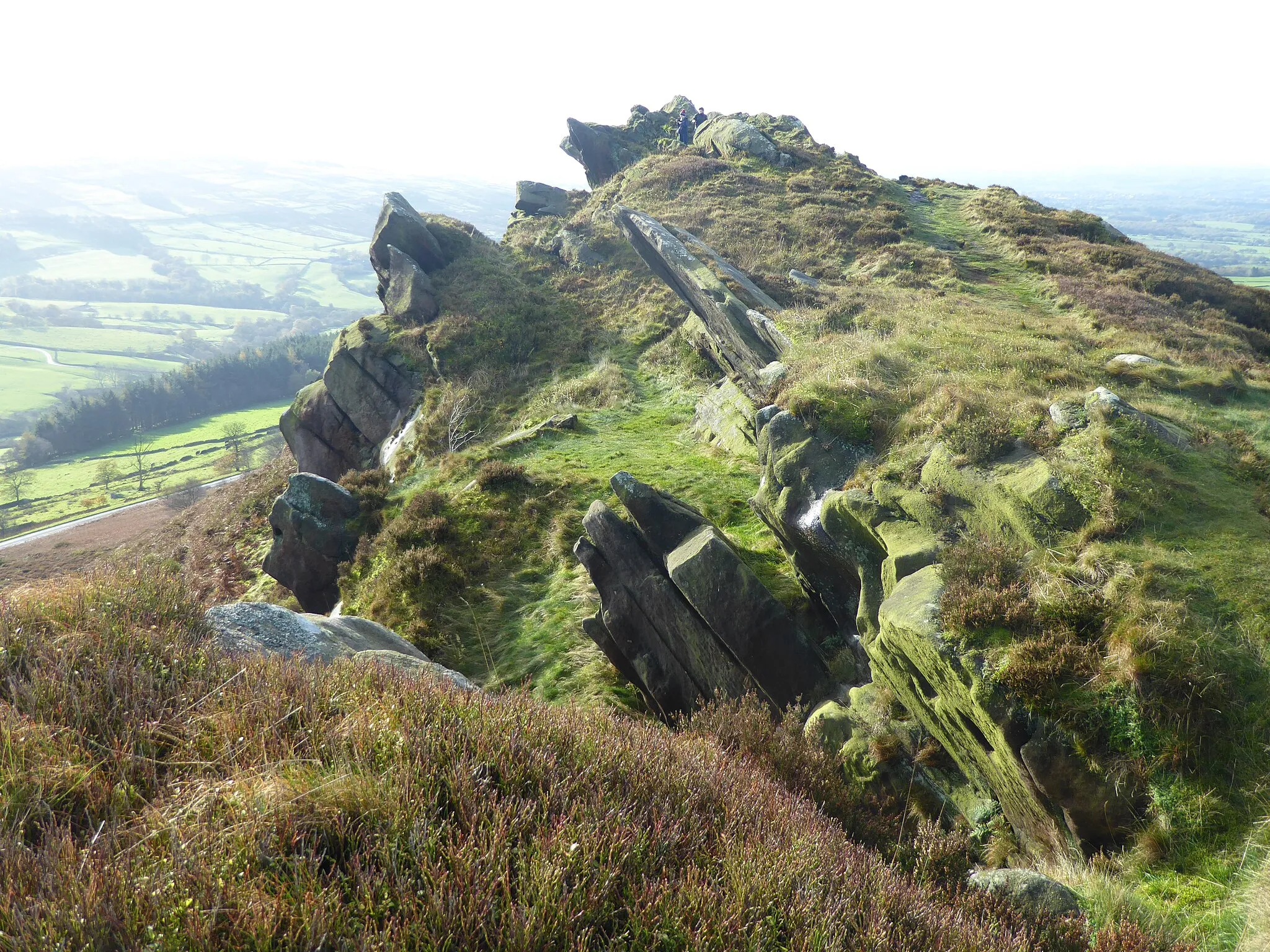 Photo showing: Looking towards the highest point of Ramshaw Rocks