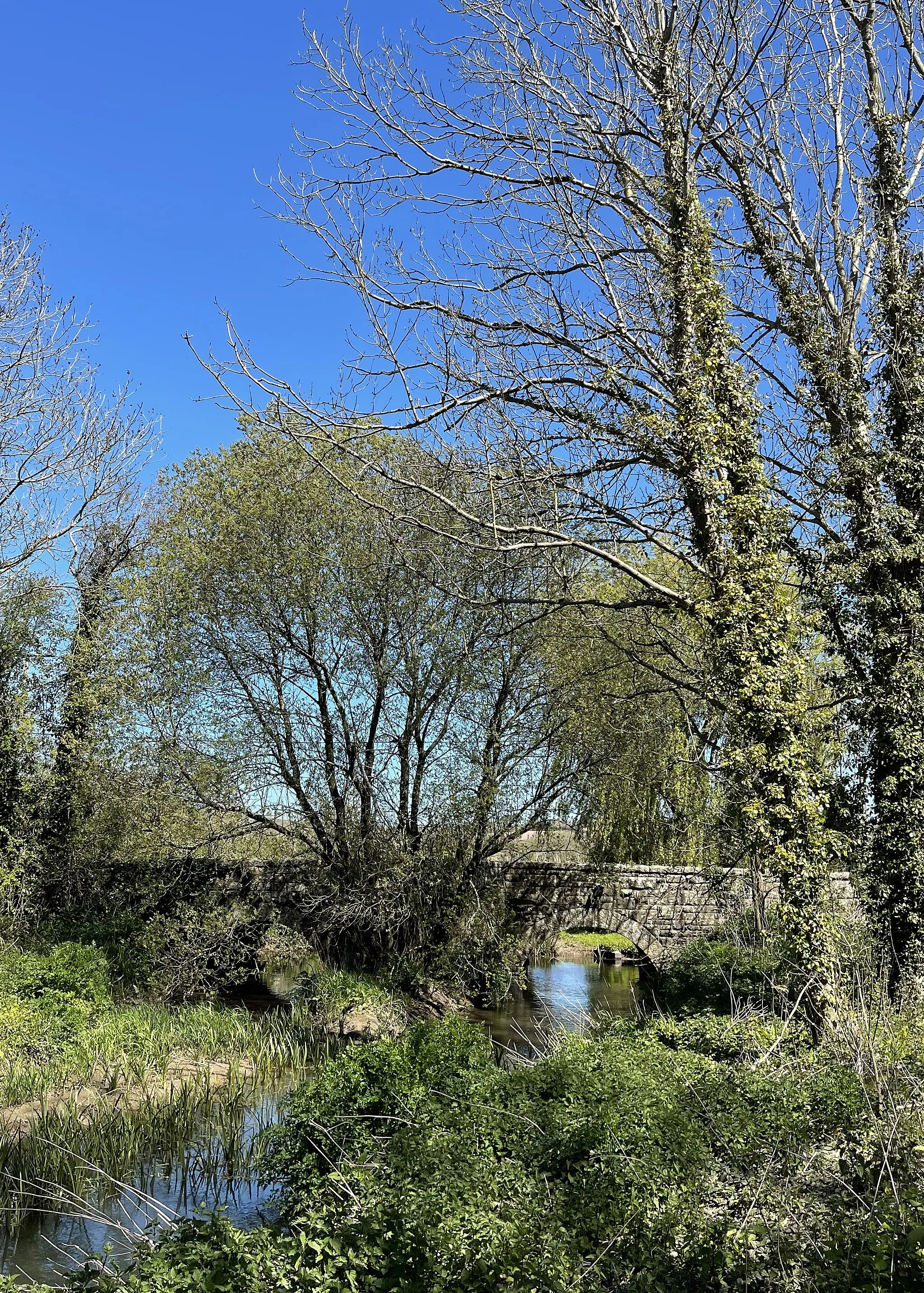 Photo showing: The bridge of the River Amble at Chapel Amble looking upstream