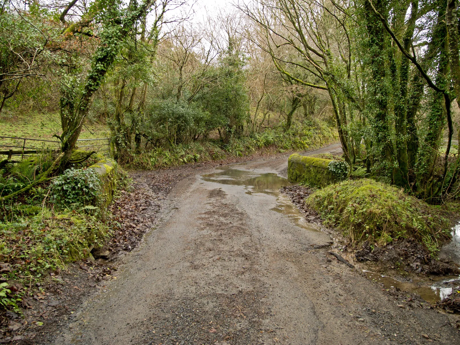 Photo showing: A bridge over the river Yeo near Broad Parkham