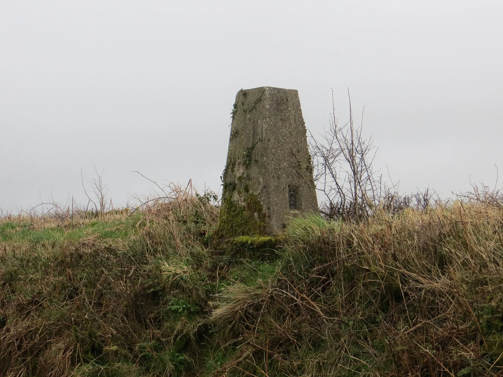 Photo showing: A roadside hedge topping pillar near Whitely Cross