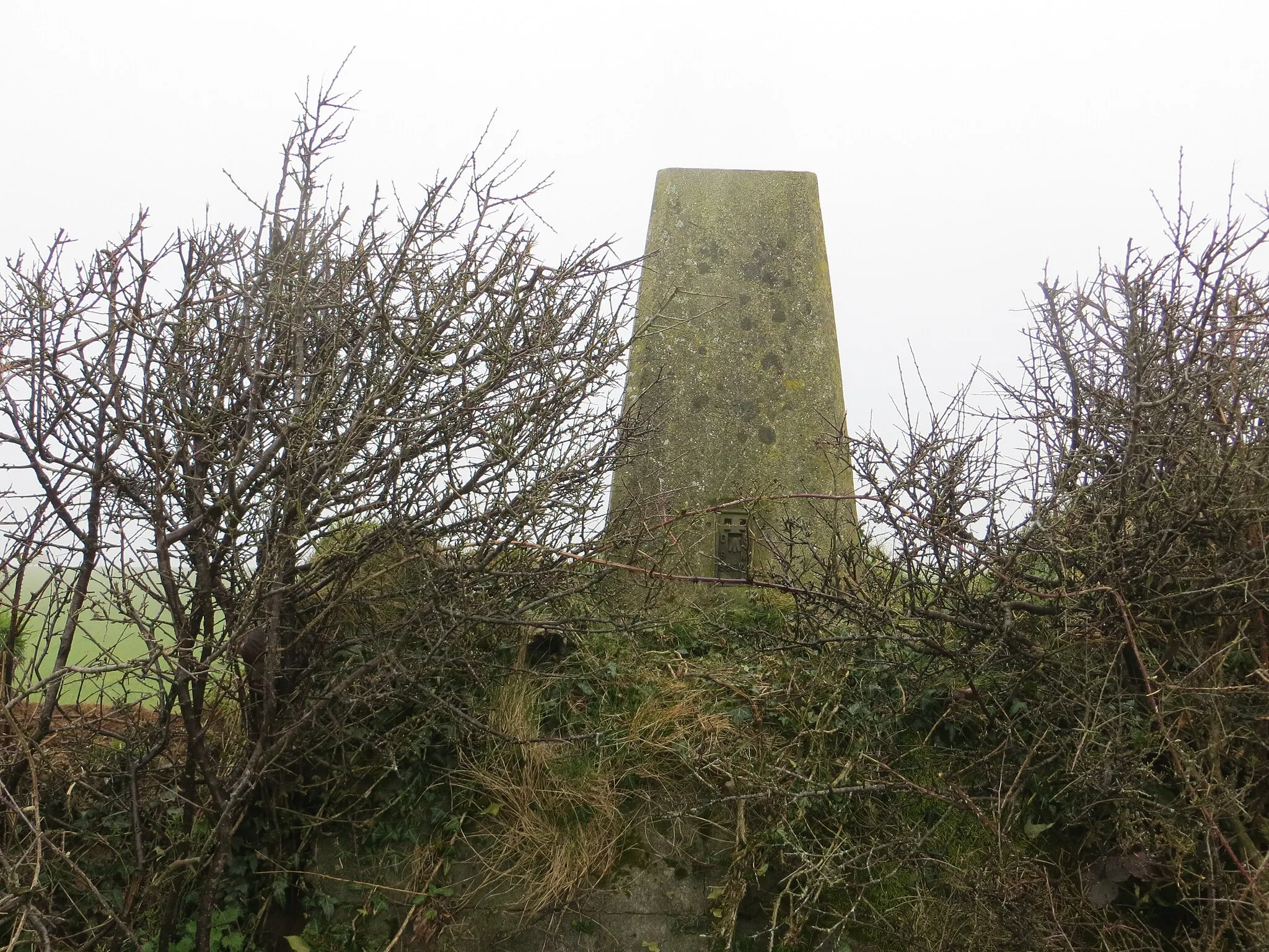 Photo showing: A hedge topping Triangulation Pillar set on a large plinth near the Tumulus at Cottage Plantation