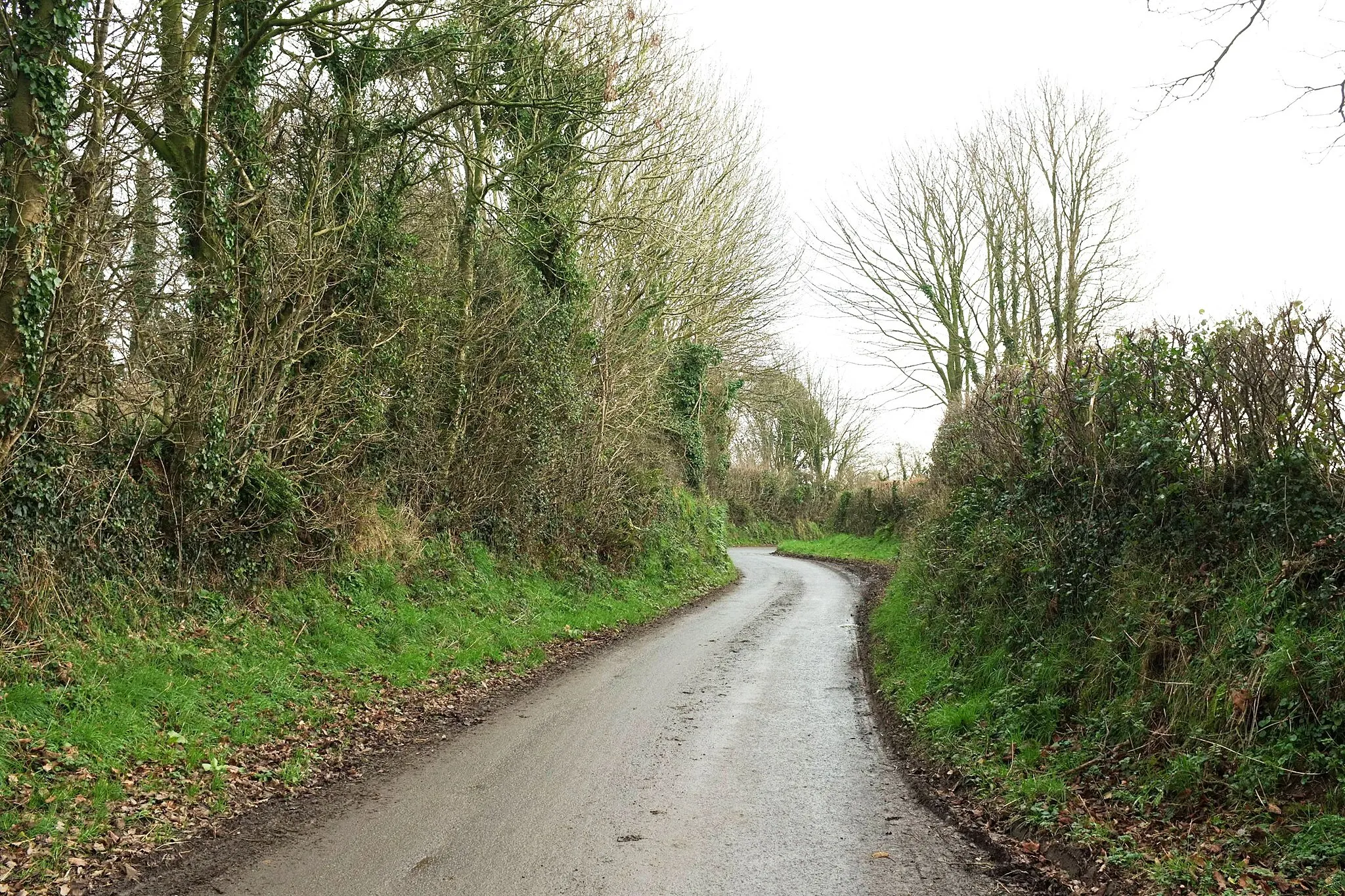 Photo showing: Bodinnick Lane