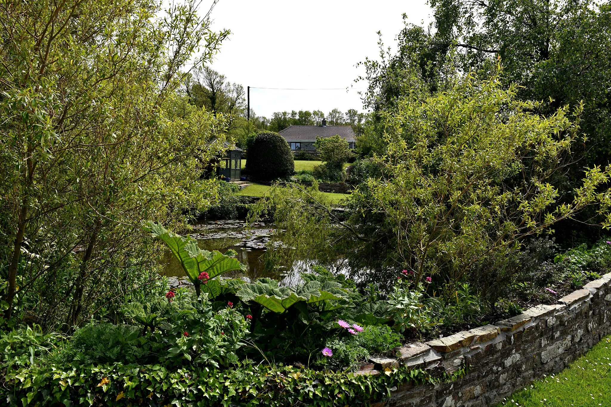 Photo showing: Ornamental pond at Tregonce