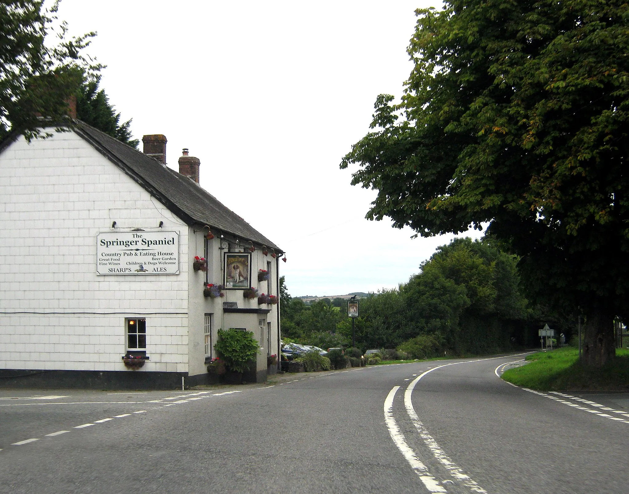 Photo showing: "The Springer Spaniel" pub at Treburley, Cornwall