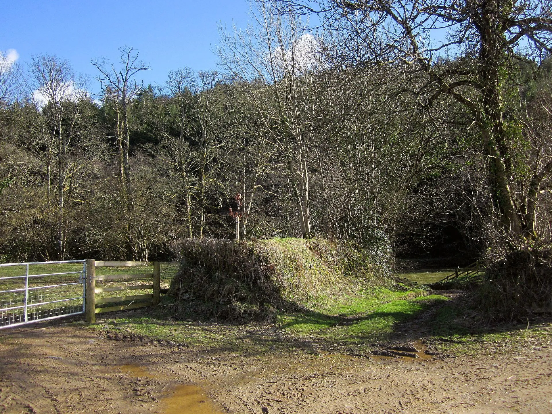 Photo showing: Approaching the ford below Lamerhooe