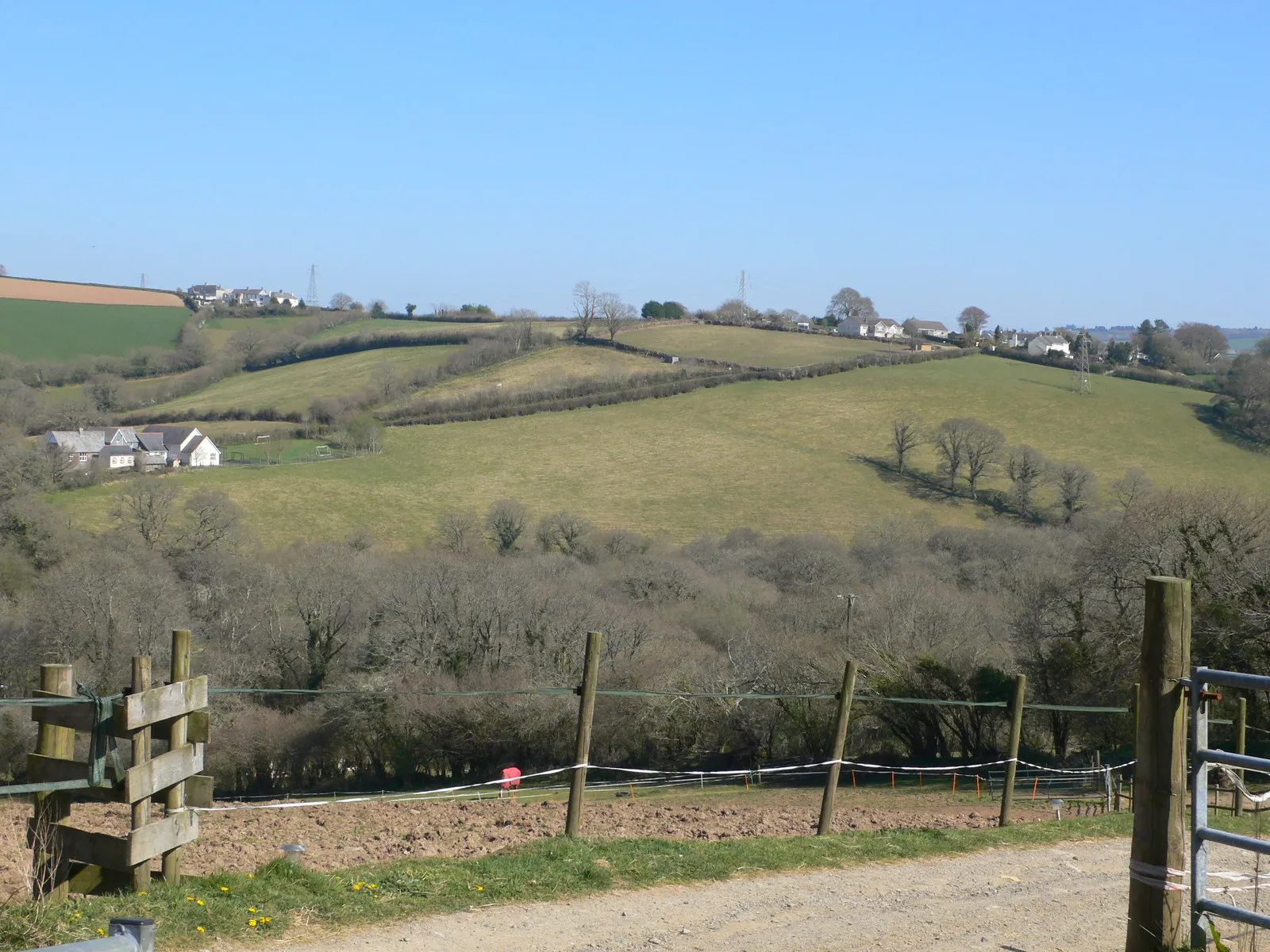 Photo showing: Trewidland from across the valley