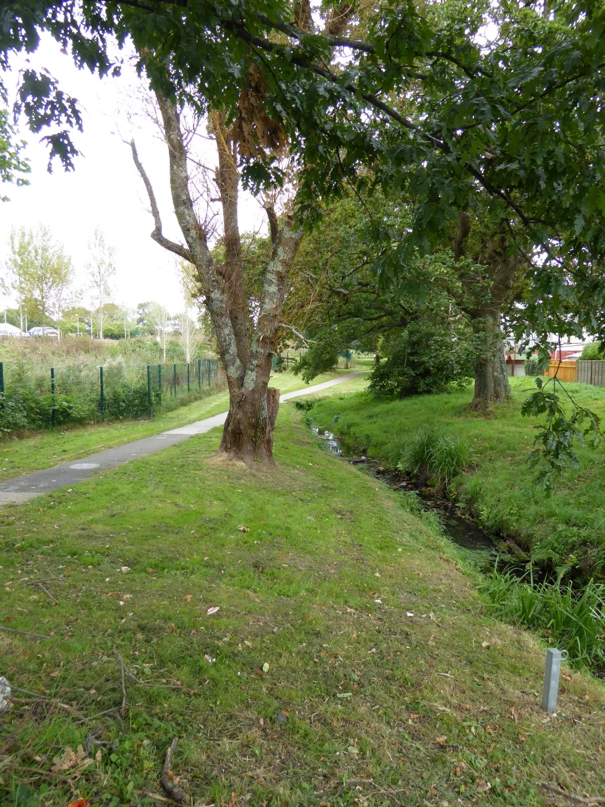 Photo showing: Stream and footpath, off Honicknowle Lane