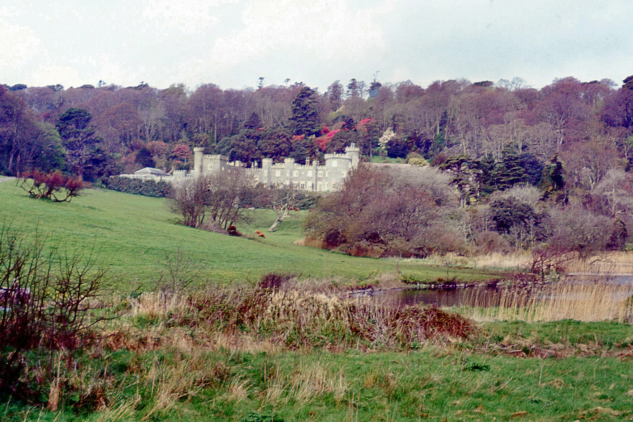 Photo showing: Caerhays Castle