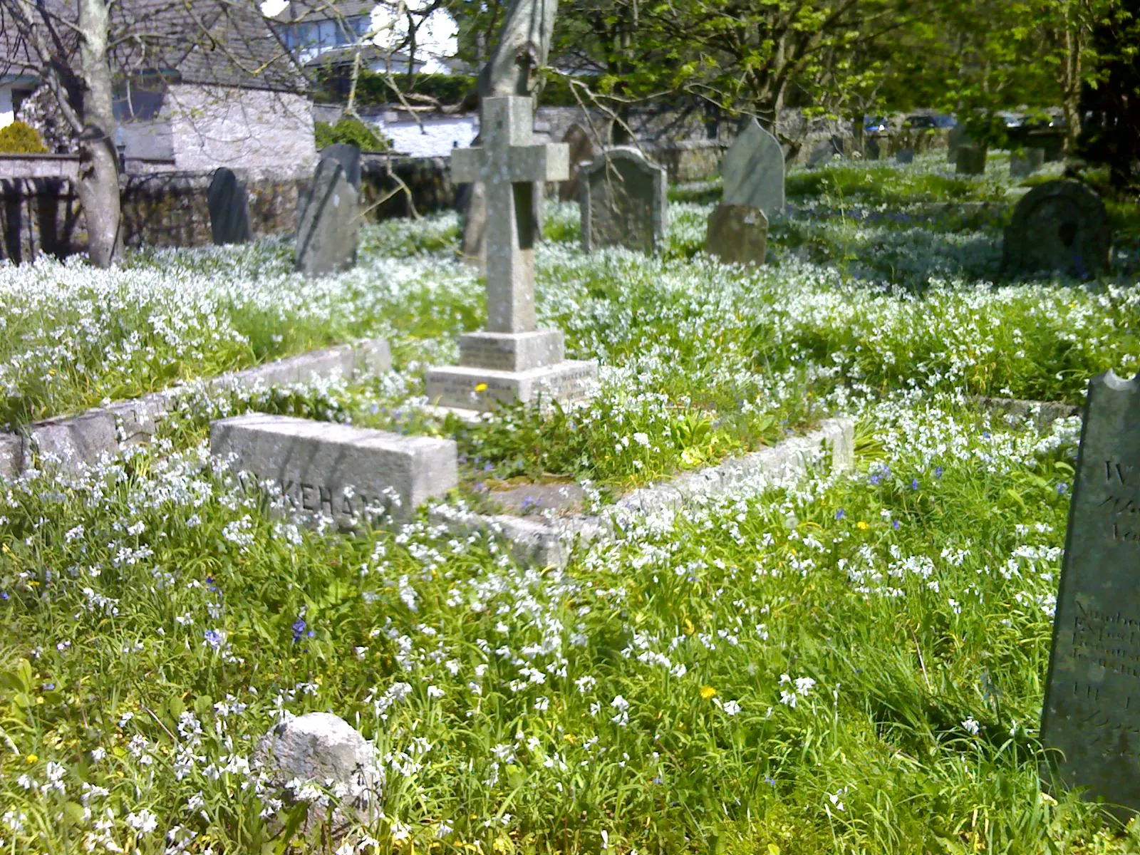 Photo showing: View of crypt and other headstones in graveyard of St. Michael's Church, Helston, Cornwall, in late springtime.