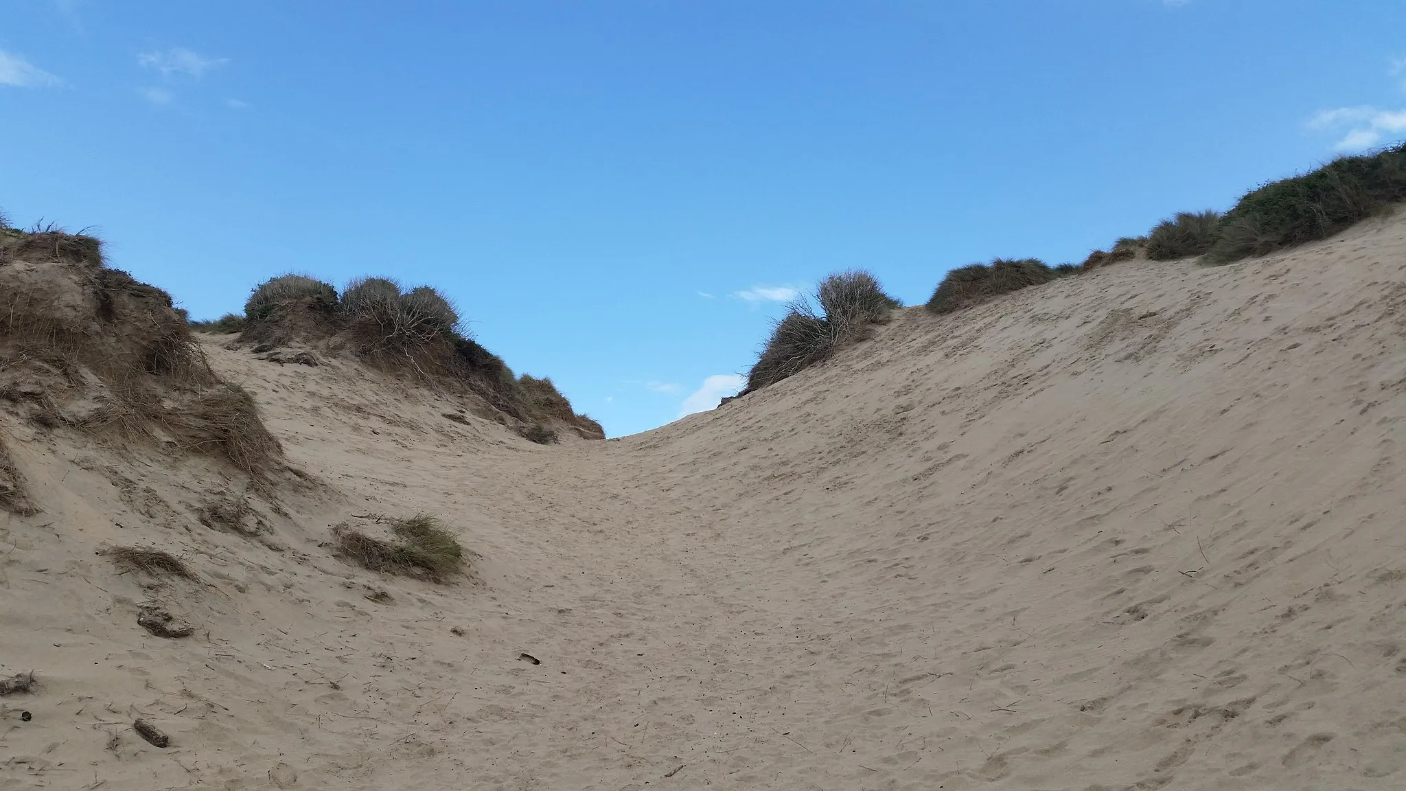 Photo showing: A view of part of the sand dunes behind Crantock Beach, Cornwall.