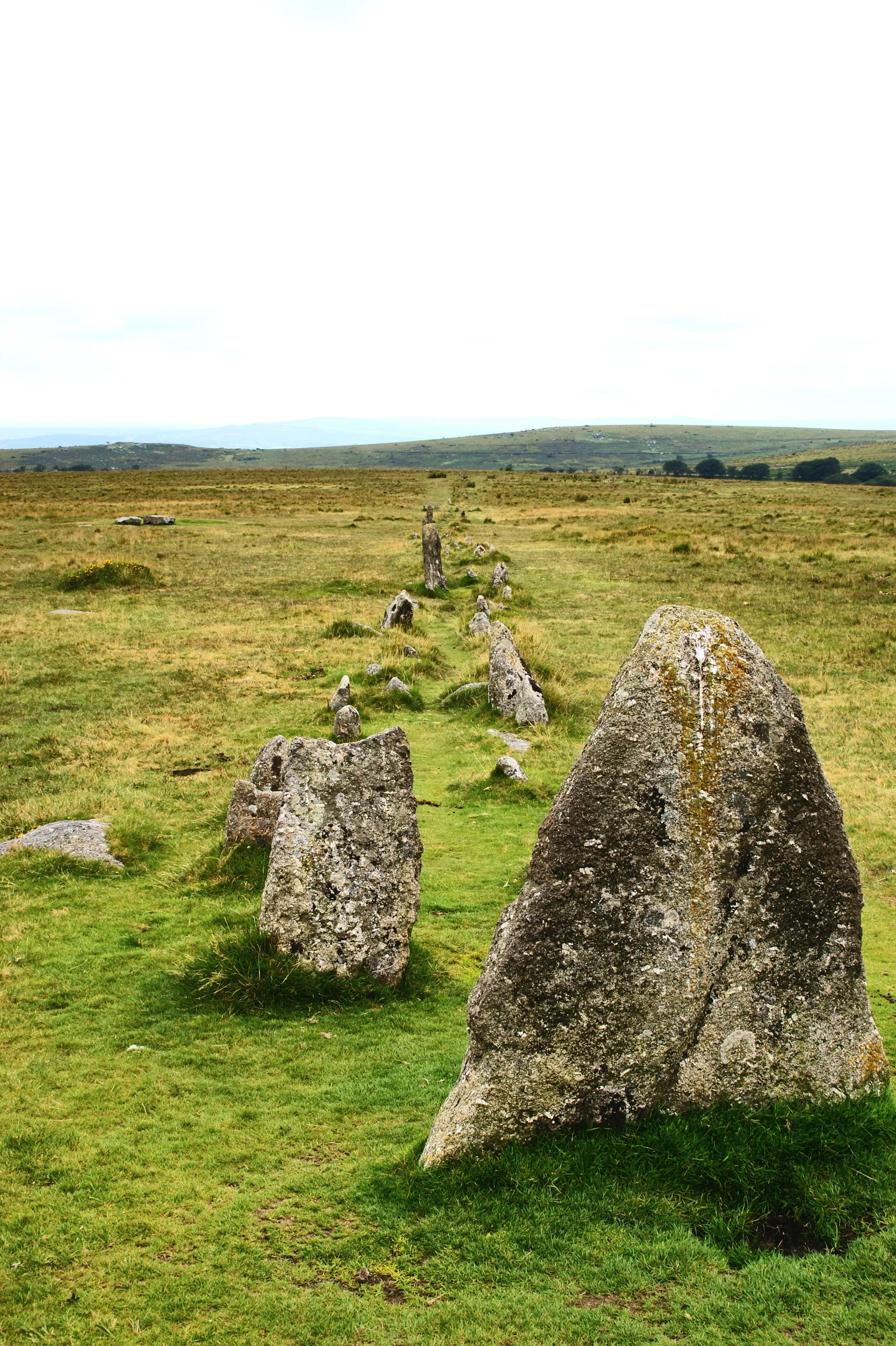 Photo showing: Southermost double stone row at Merrivale (Dartmoor).  To the left of the image at the centre can be seen one of the kistvaens there.