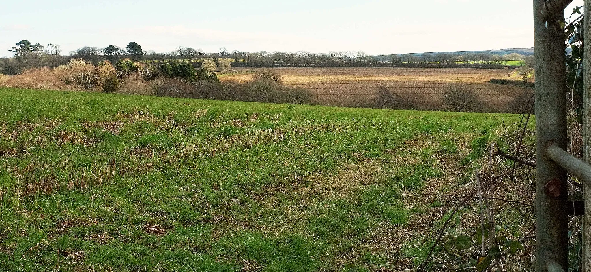 Photo showing: Farmland east of St Mabyn
