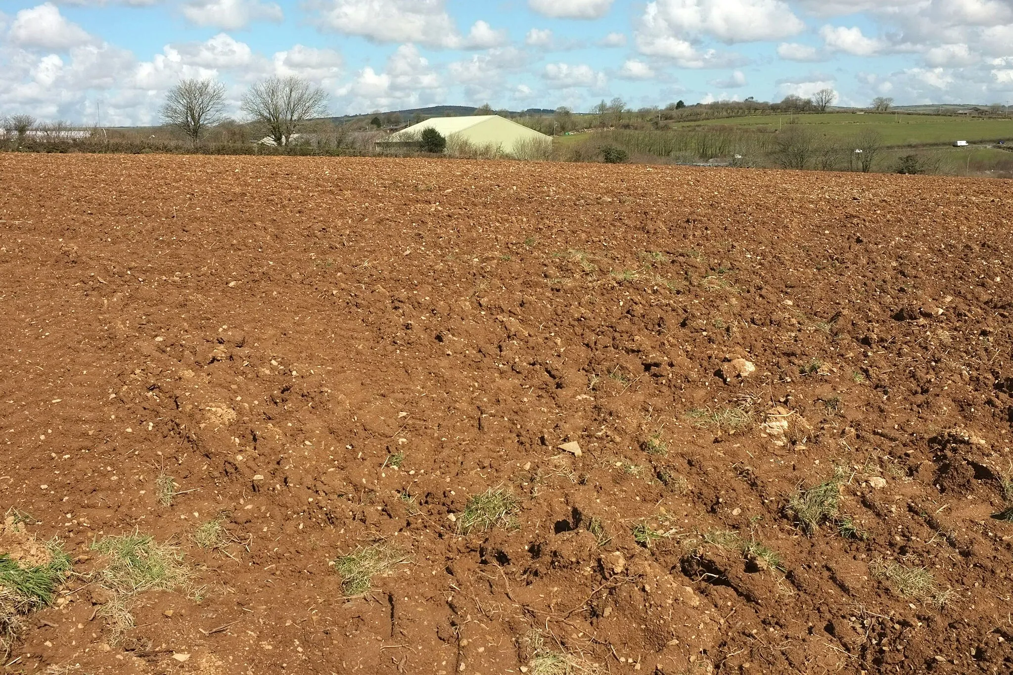 Photo showing: Arable field by the A390