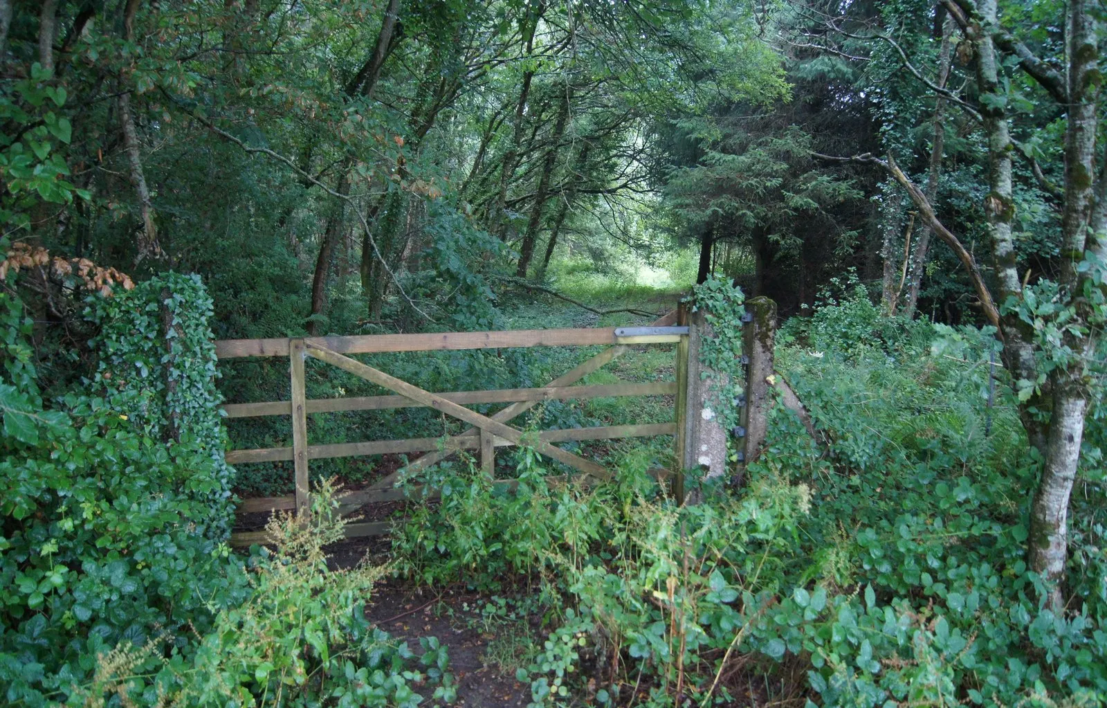 Photo showing: Access to Higher Round Plantation