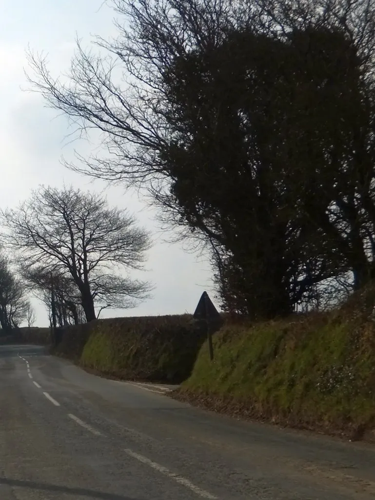 Photo showing: A gap in the hedgebank for a minor road junction
