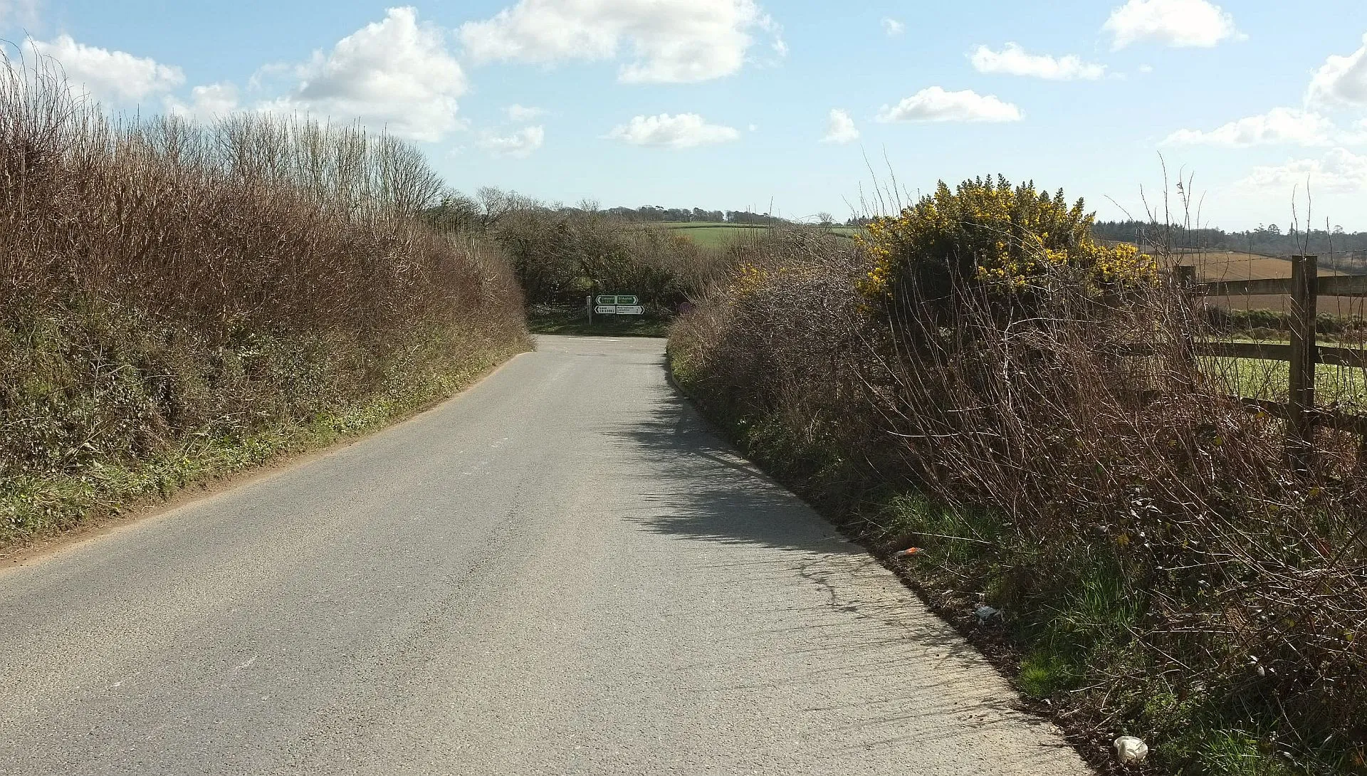 Photo showing: Road from Derricombe