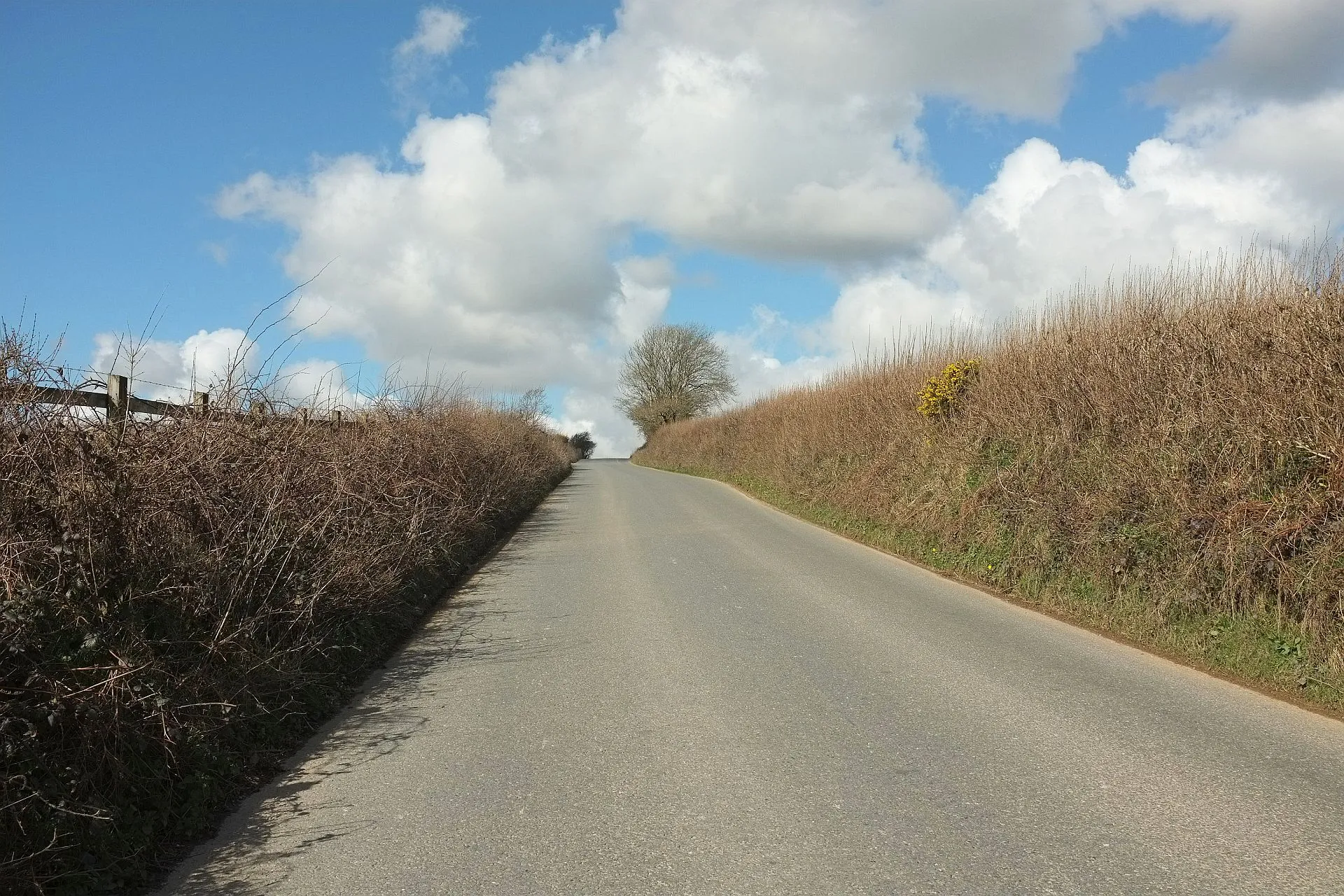 Photo showing: Road to Derricombe