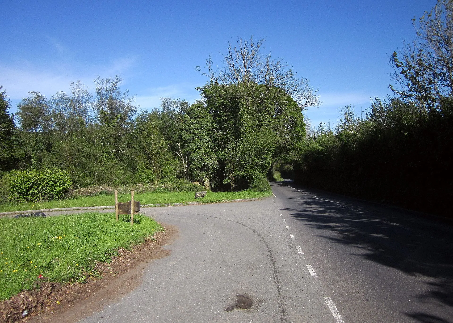 Photo showing: A390 near Cholwell Plantation