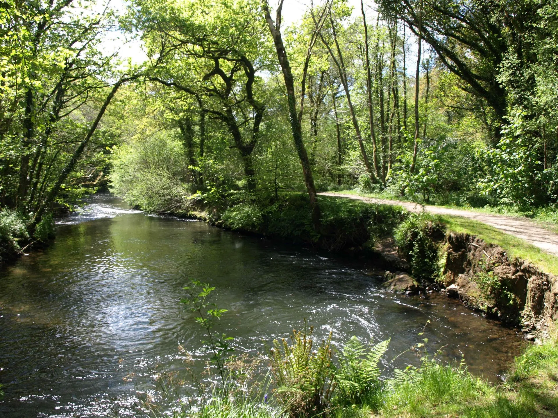 Photo showing: Bend in the Lynher
