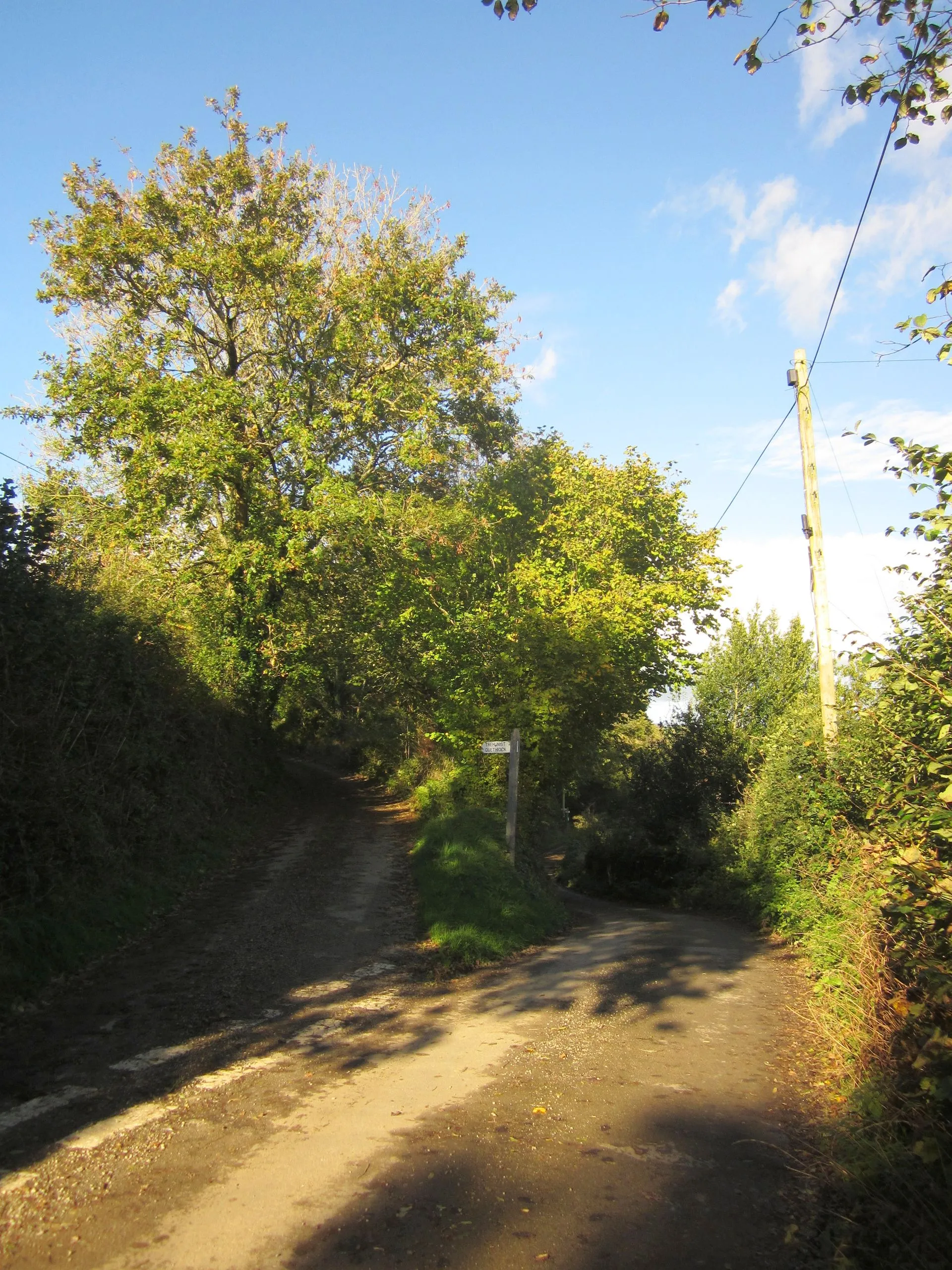 Photo showing: Lane junction, Tilland