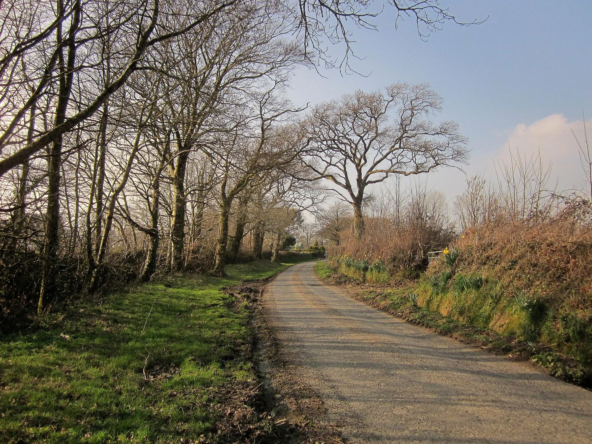 Photo showing: Lane near Clubworthy