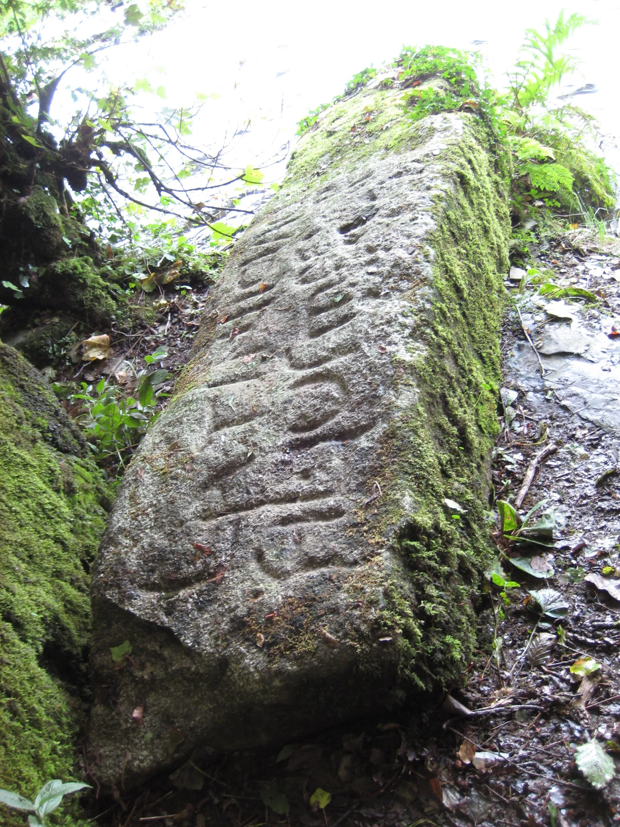 Photo showing: Inscribed stone on the bank of the River Camel, about 150 metres upstream from Slaughter Bridge, near Camelford, Cornwall (CISP WVALE/1). Inscribed "LATINI (H)IC IACIT FILIUS MAGARI" in the Latin script, and "LA[TI]NI" ᚂᚐᚈᚔᚅᚔ in the Ogham script (see File:Worthyvale ogham stone detail.JPG for detail showing the now almost illegible Ogham inscription).